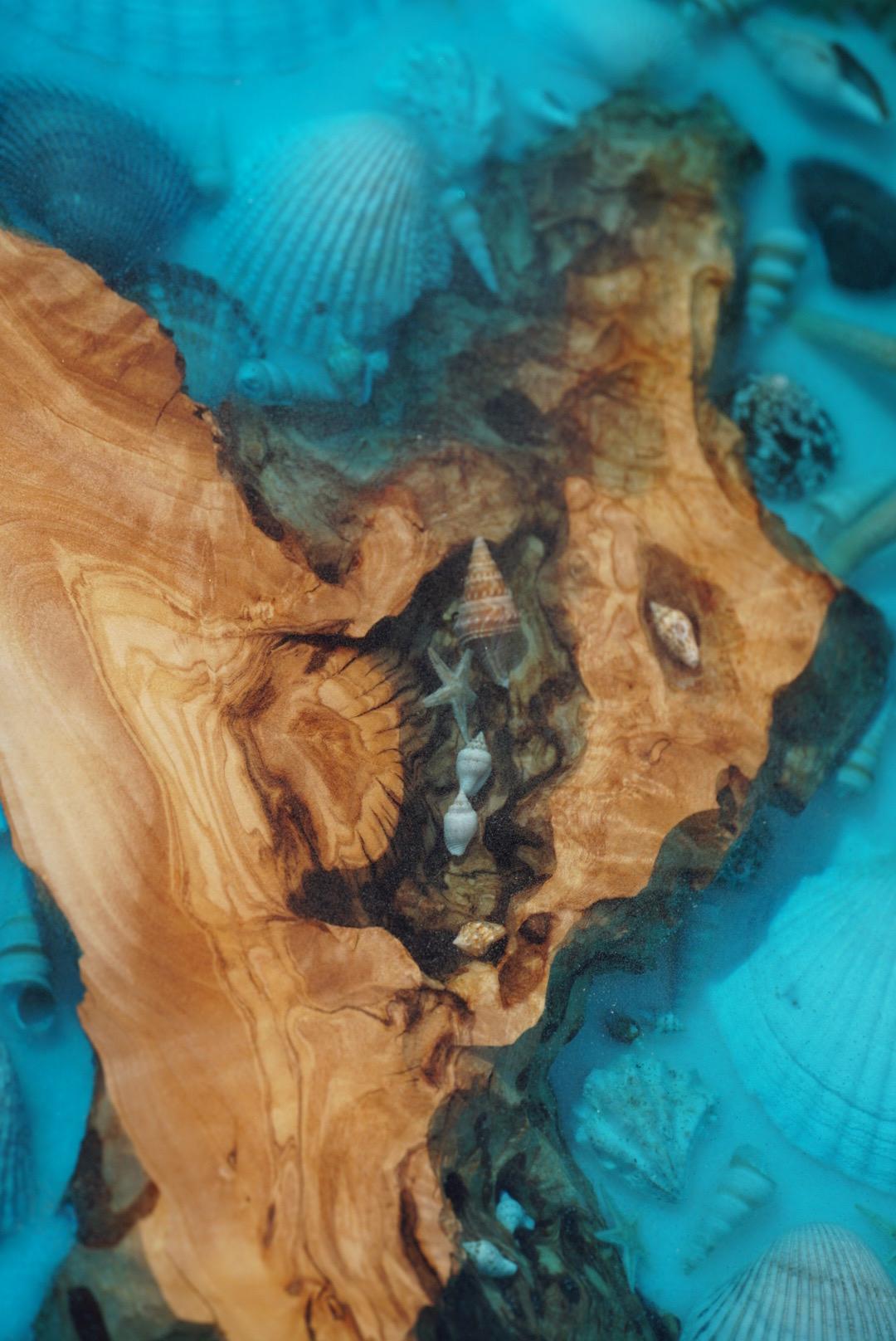 Ocean Sea Shell Seaside Accent Table | Side Table | End Table