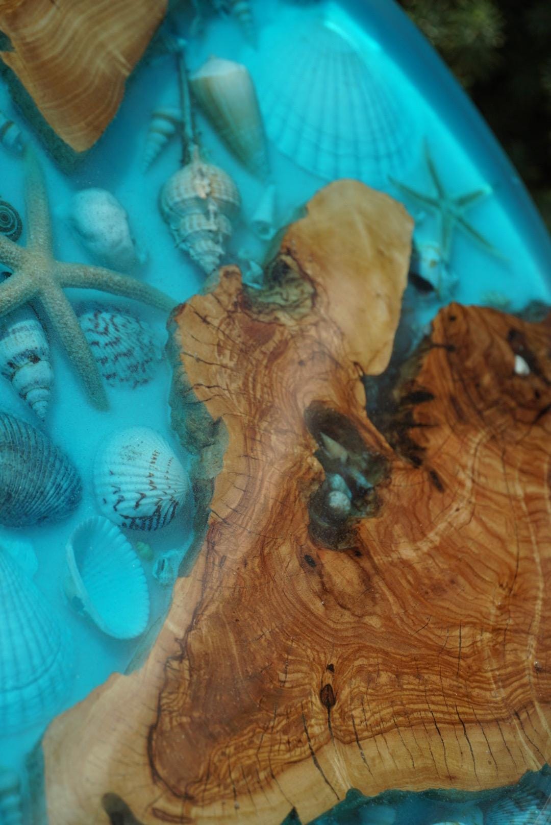 Ocean Sea Shell Seaside Accent Table | Side Table | End Table