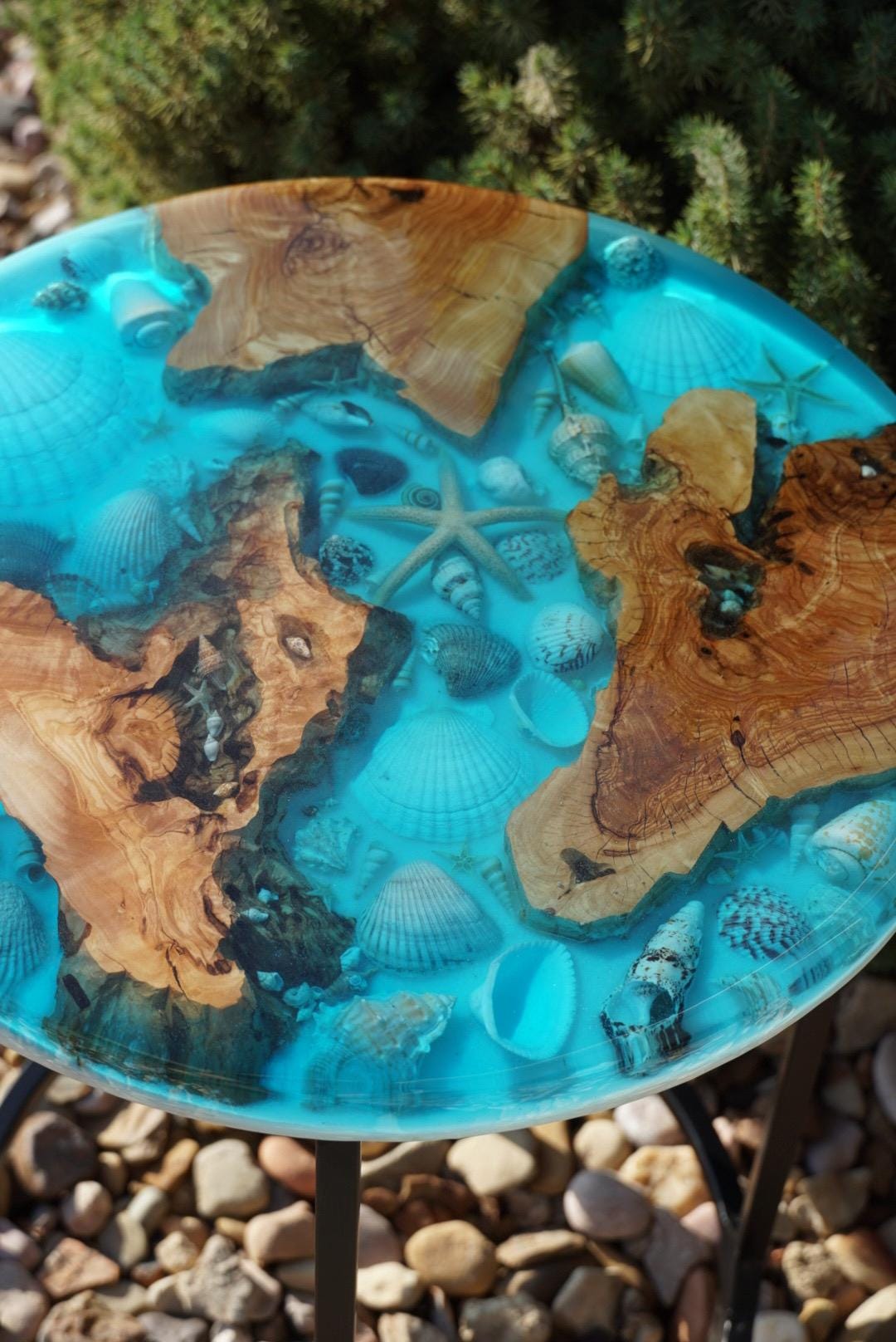 Ocean Sea Shell Seaside Accent Table | Side Table | End Table