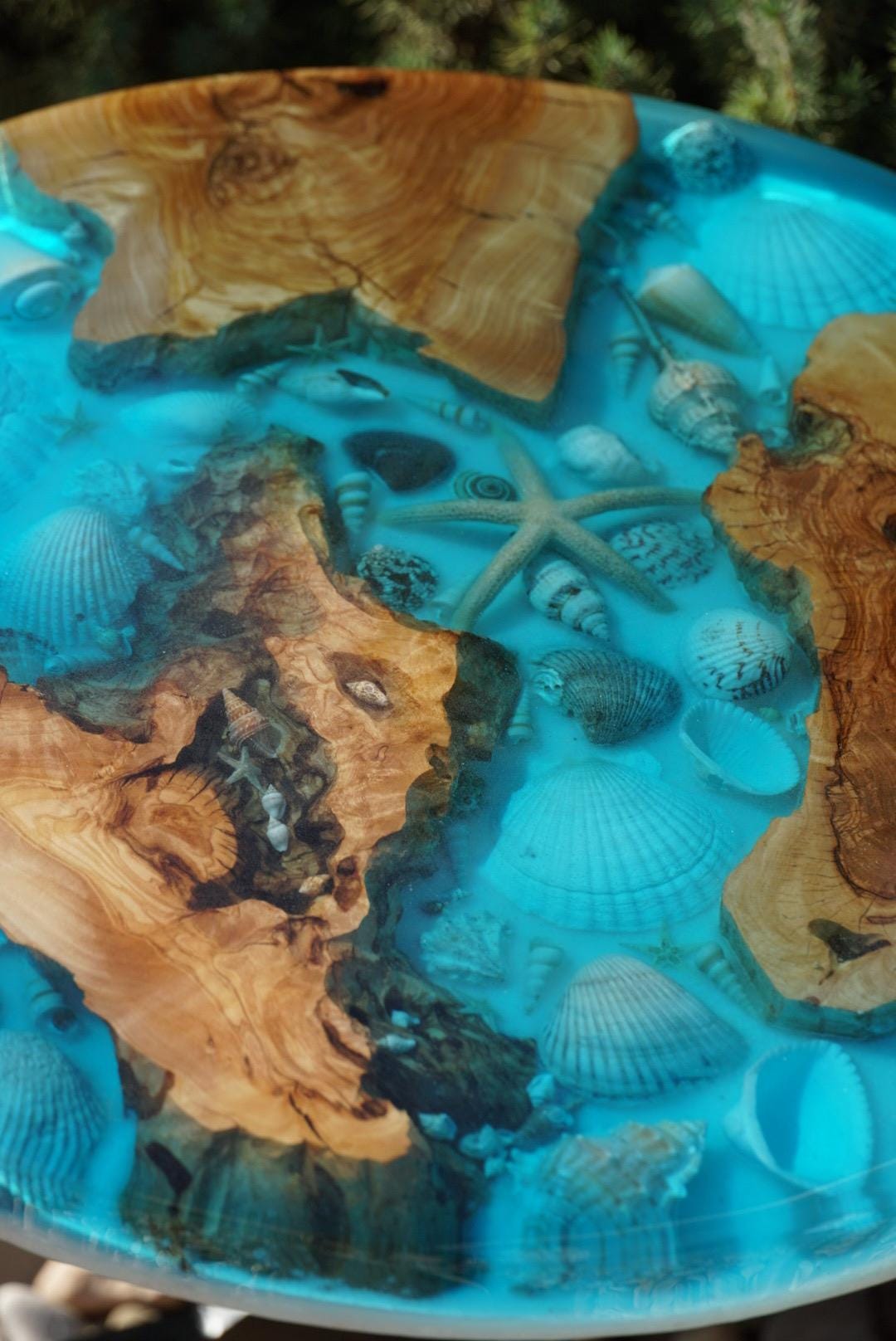 Ocean Sea Shell Seaside Accent Table | Side Table | End Table
