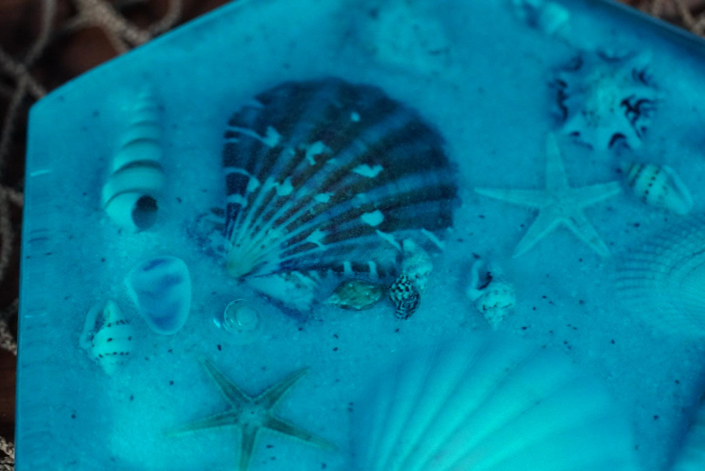 Sea Shell Coasters