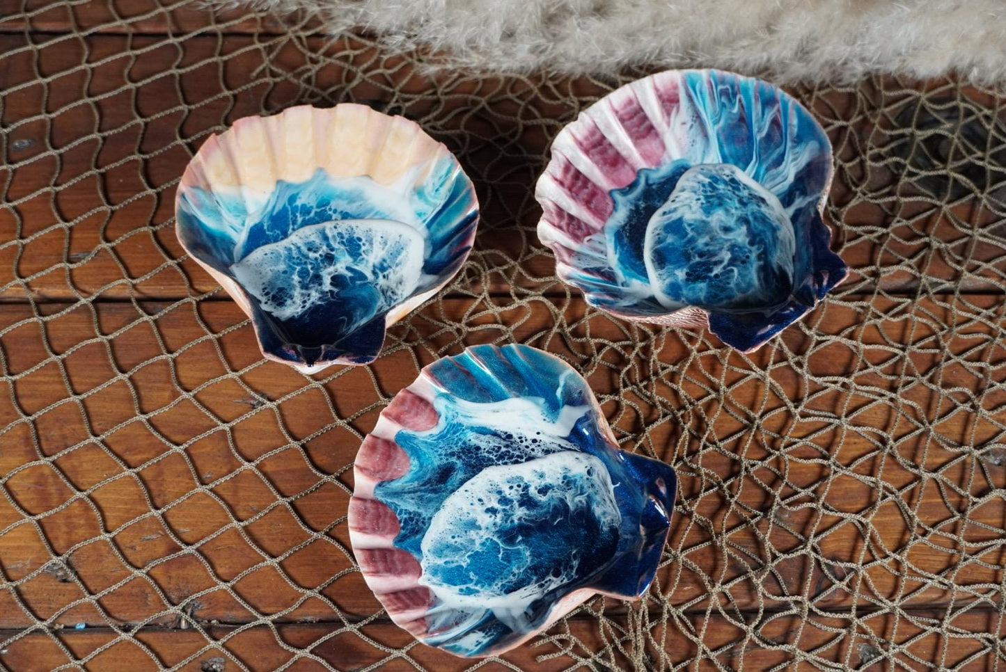 Sea Shell with Waves