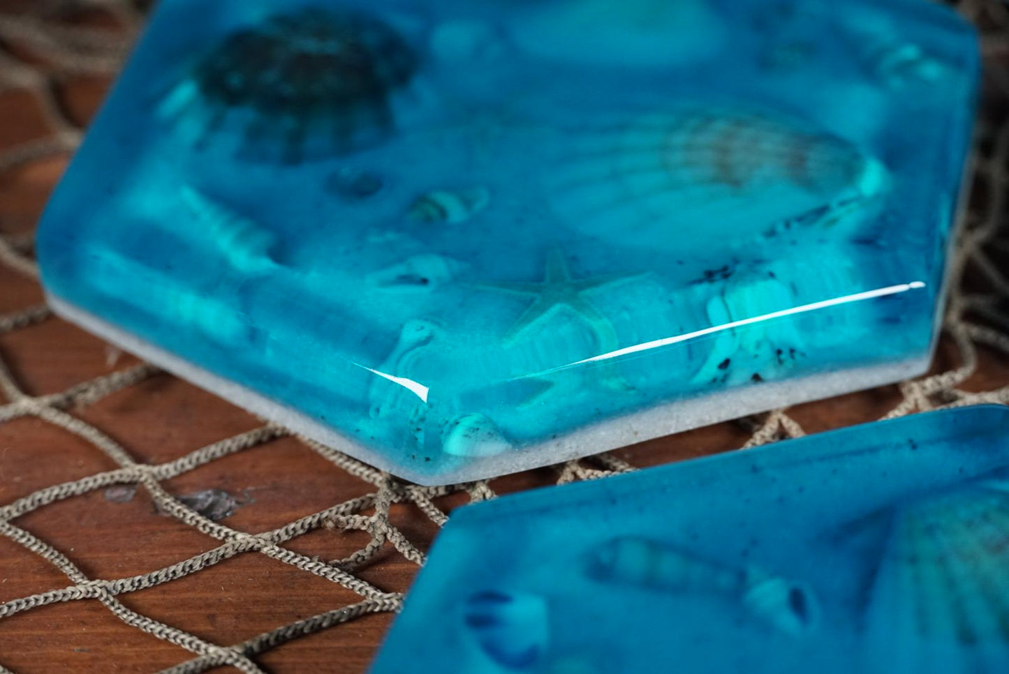 Sea Shell Coasters