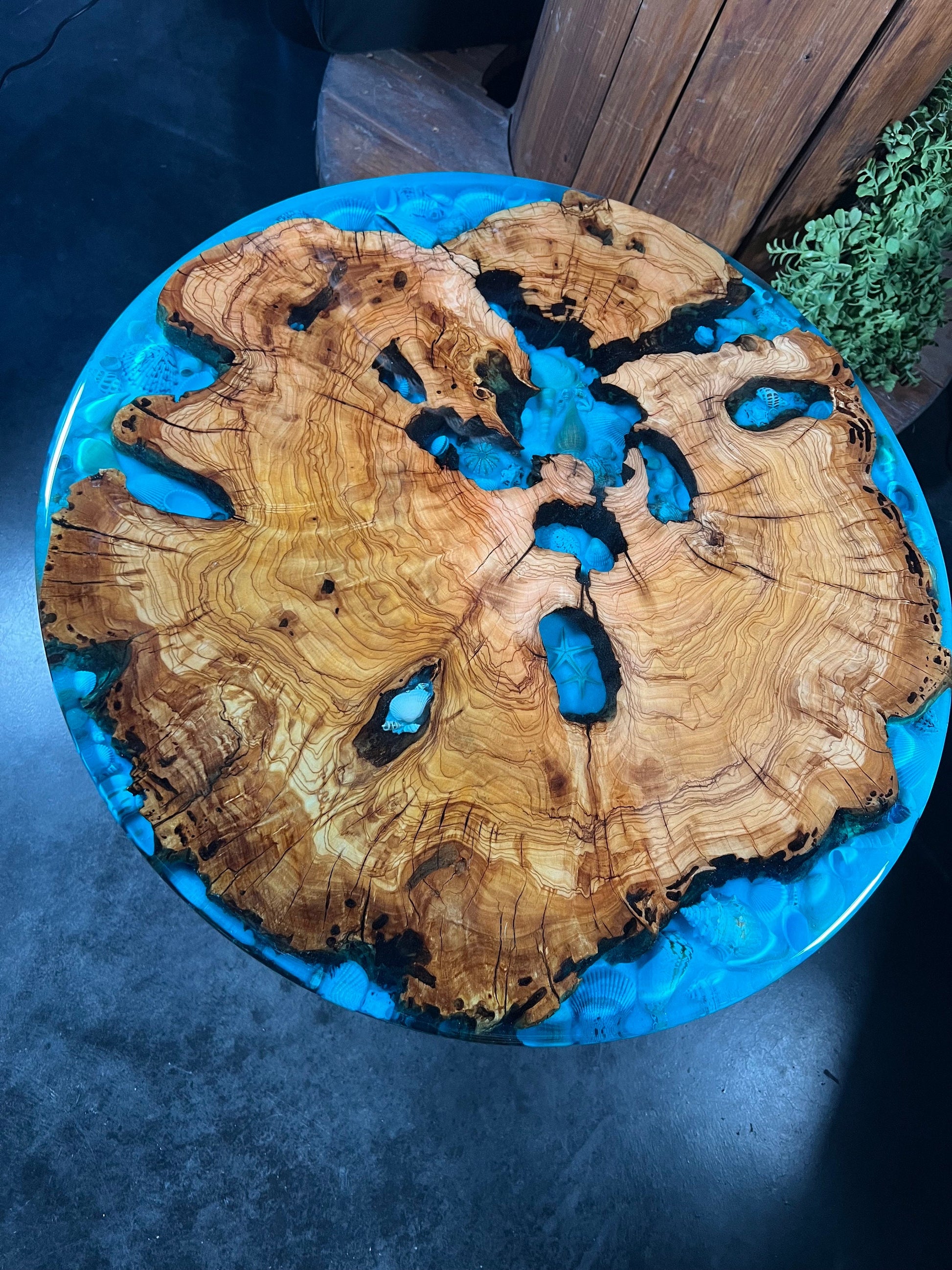 Ocean view Sea shell, Blue, Olive Wood Round Table, coffee table, accent table