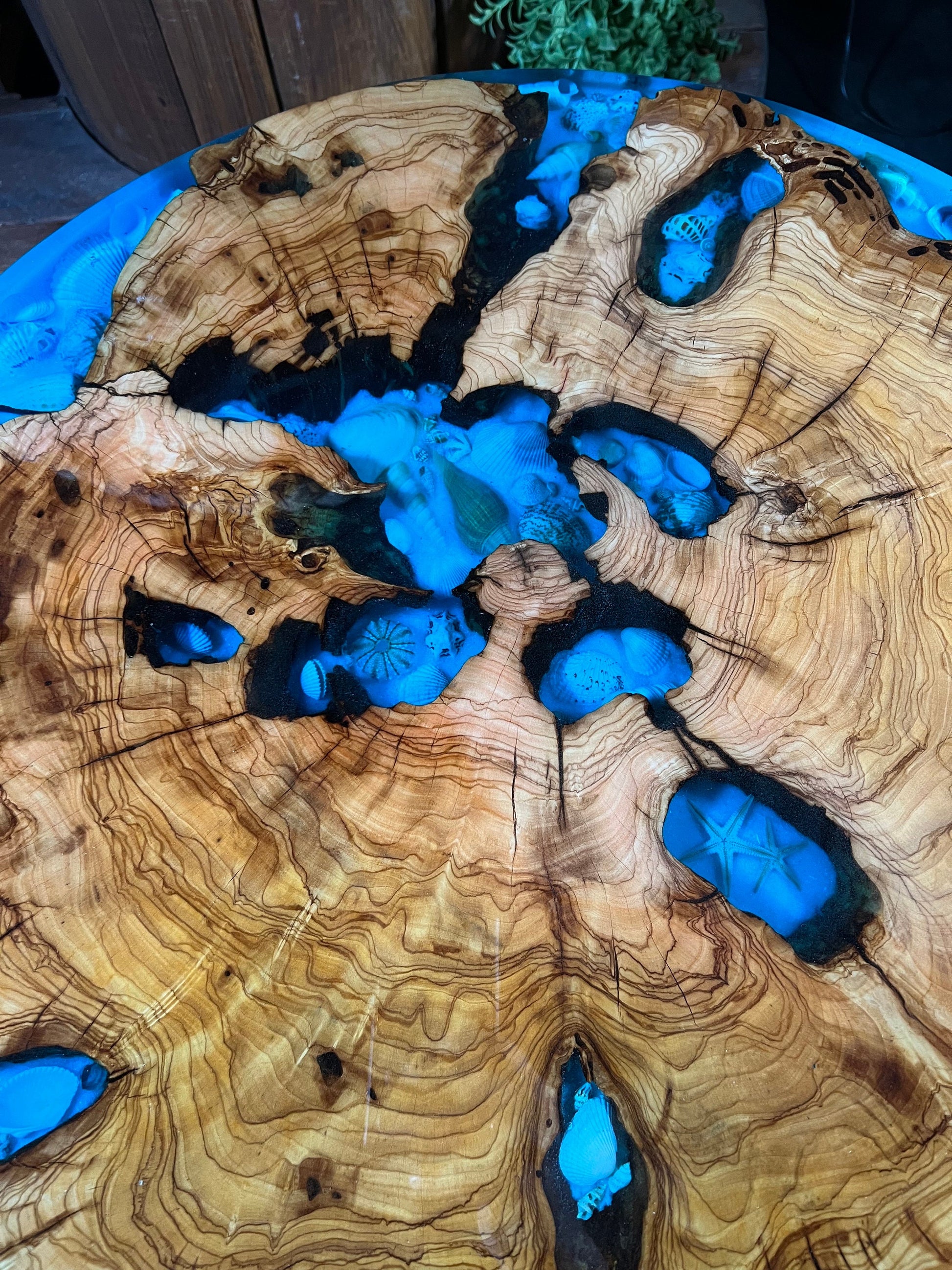 Ocean view Sea shell, Blue, Olive Wood Round Table, coffee table, accent table