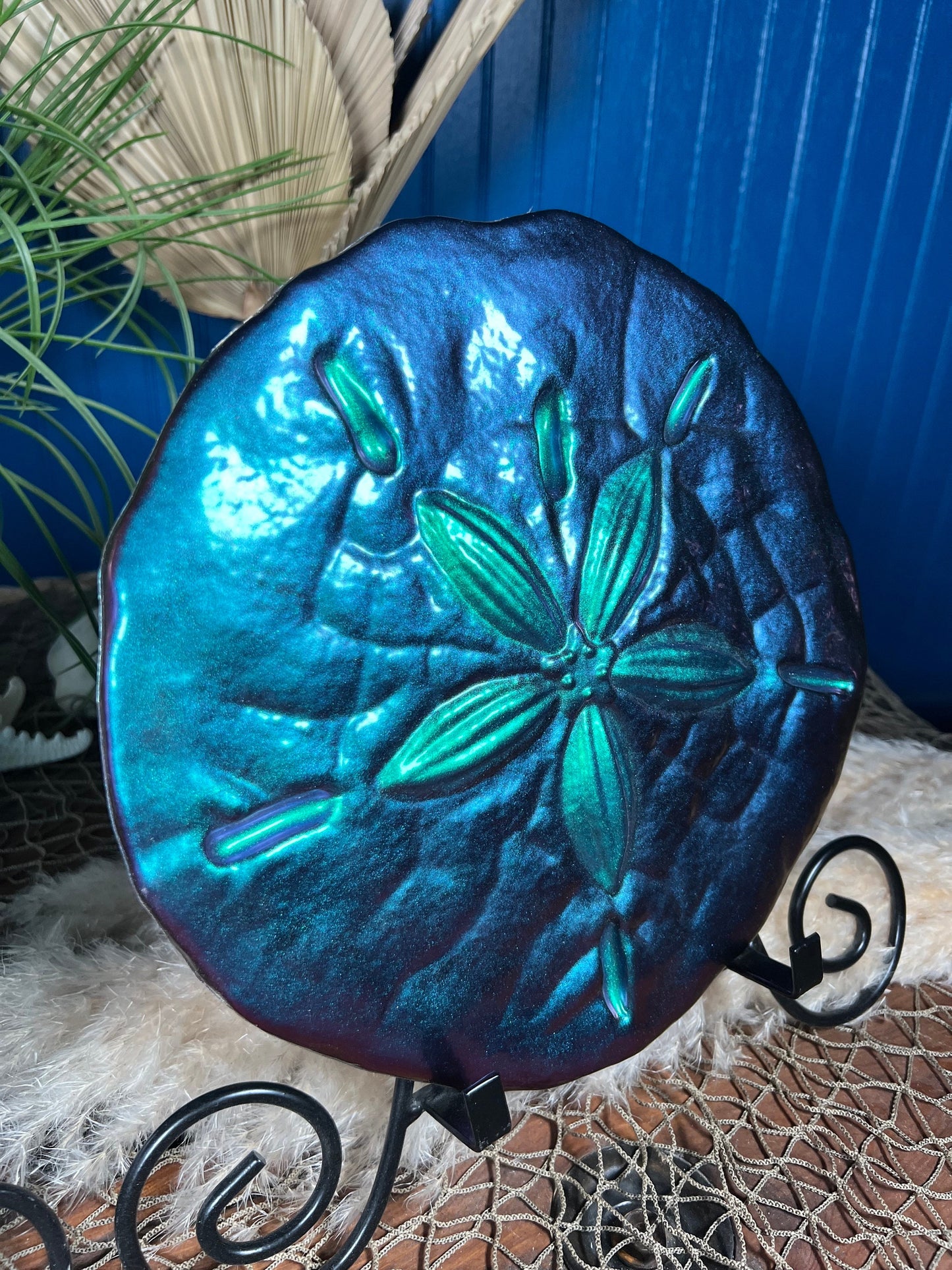 Sand Dollar Wall Art