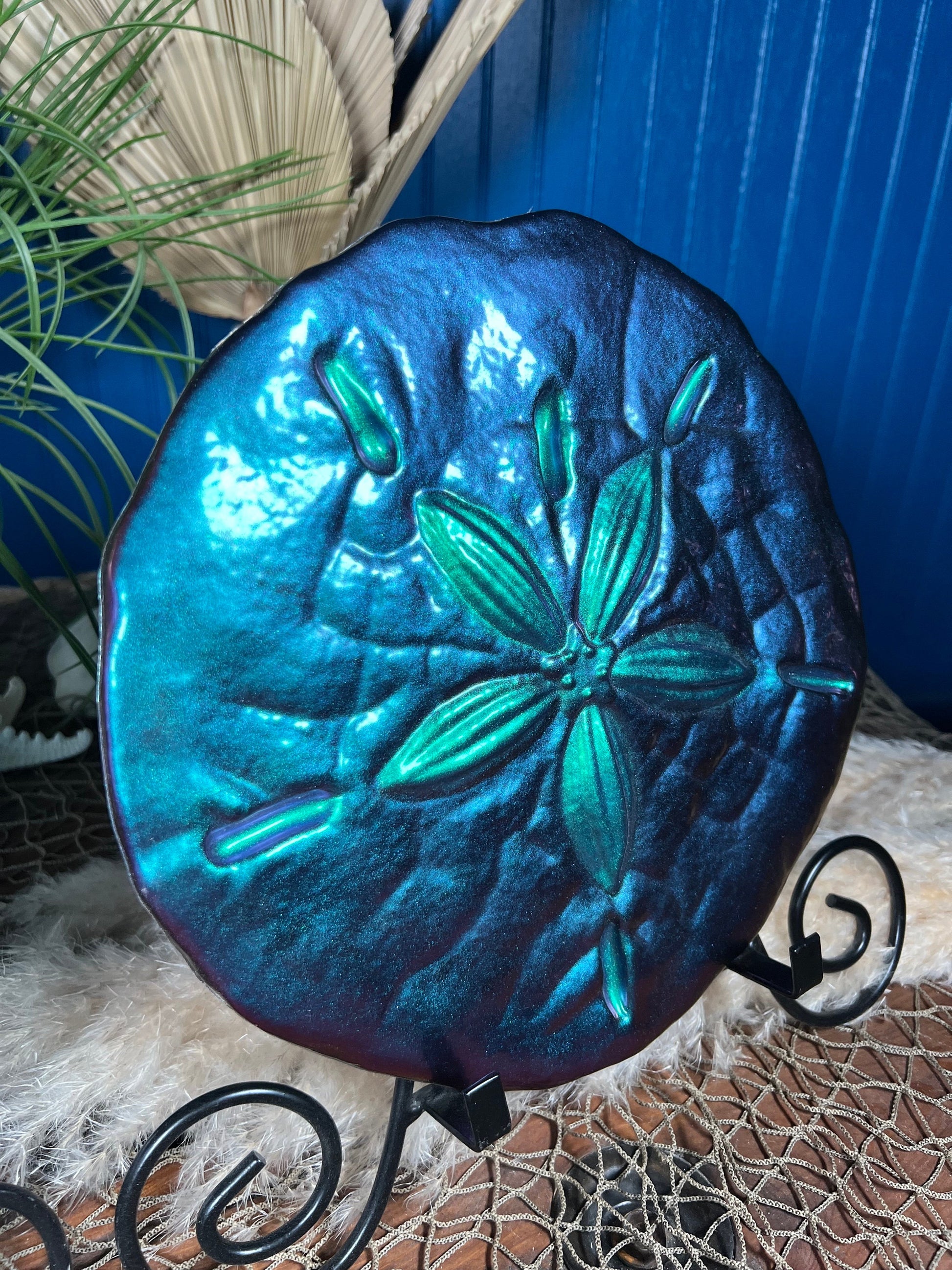 Sand Dollar Wall Art