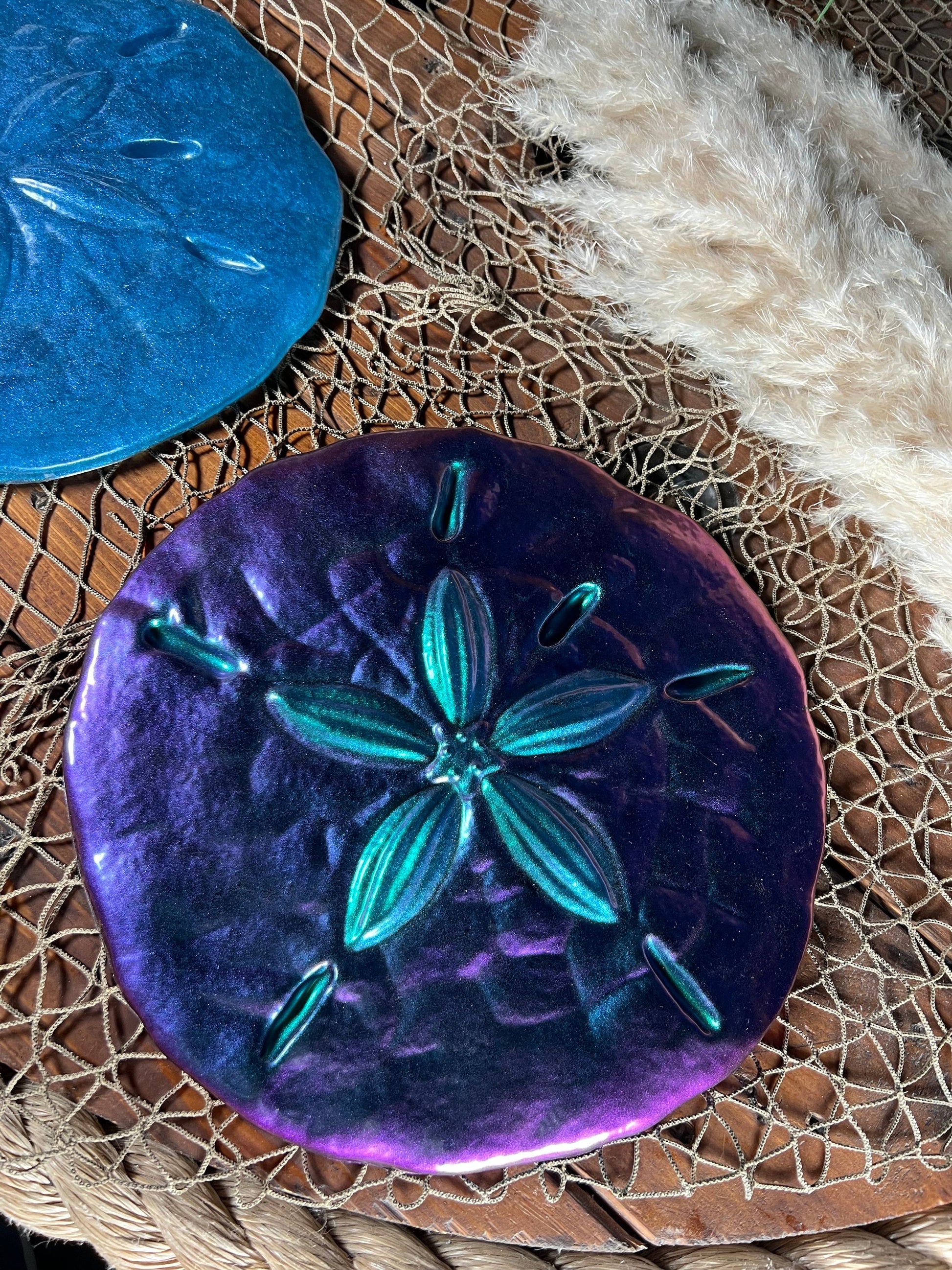 Sand Dollar Wall Art
