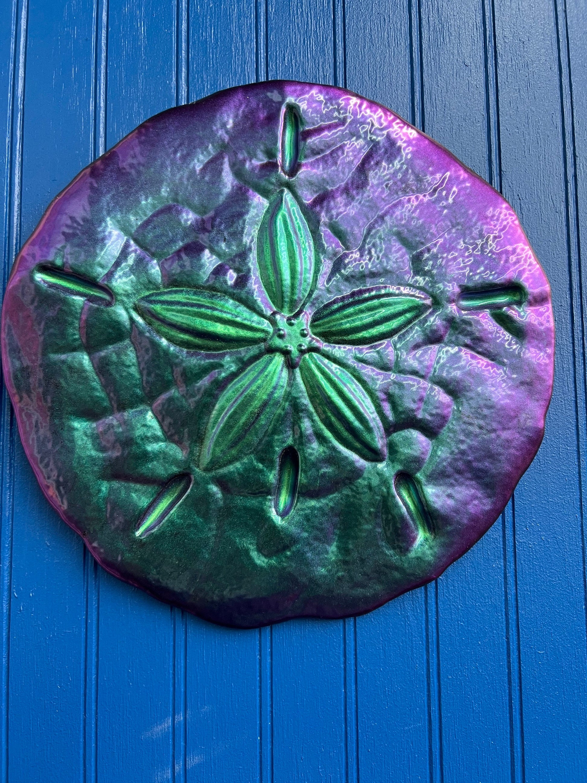 Sand Dollar Wall Art