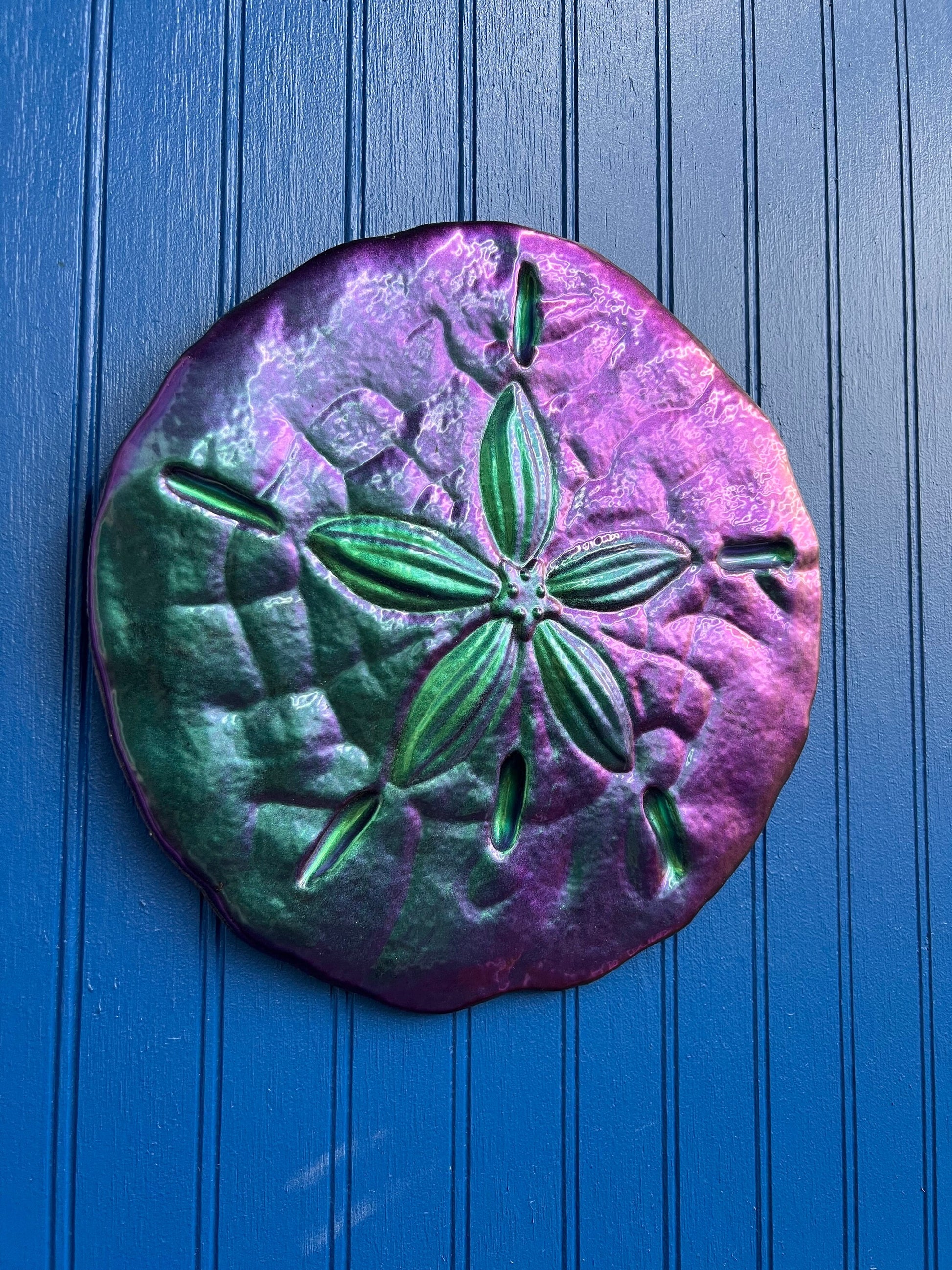 Sand Dollar Wall Art
