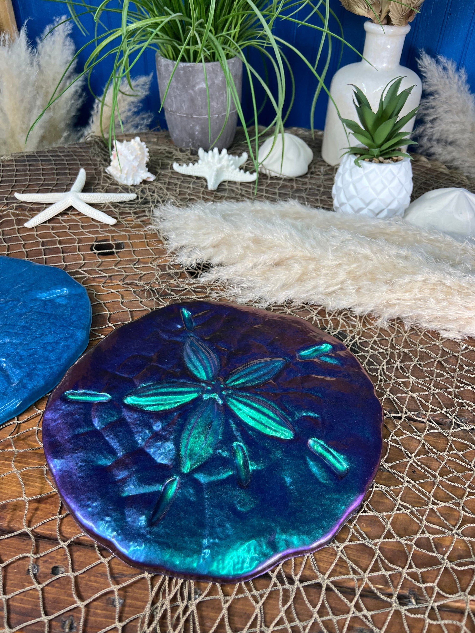 Sand Dollar Wall Art