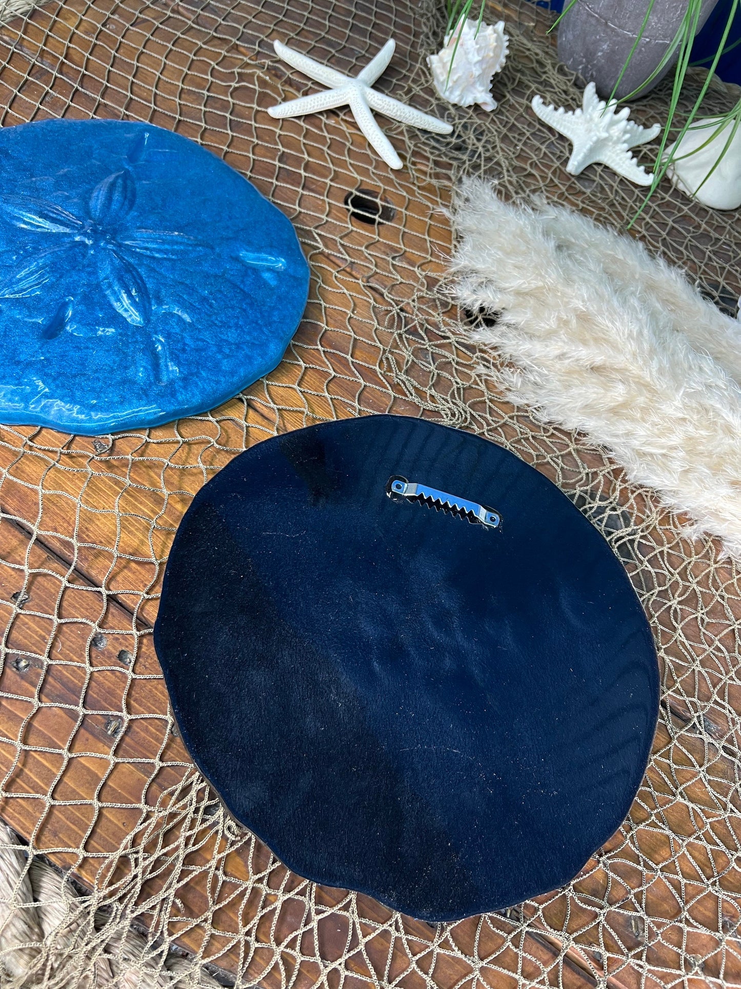 Sand Dollar Wall Art