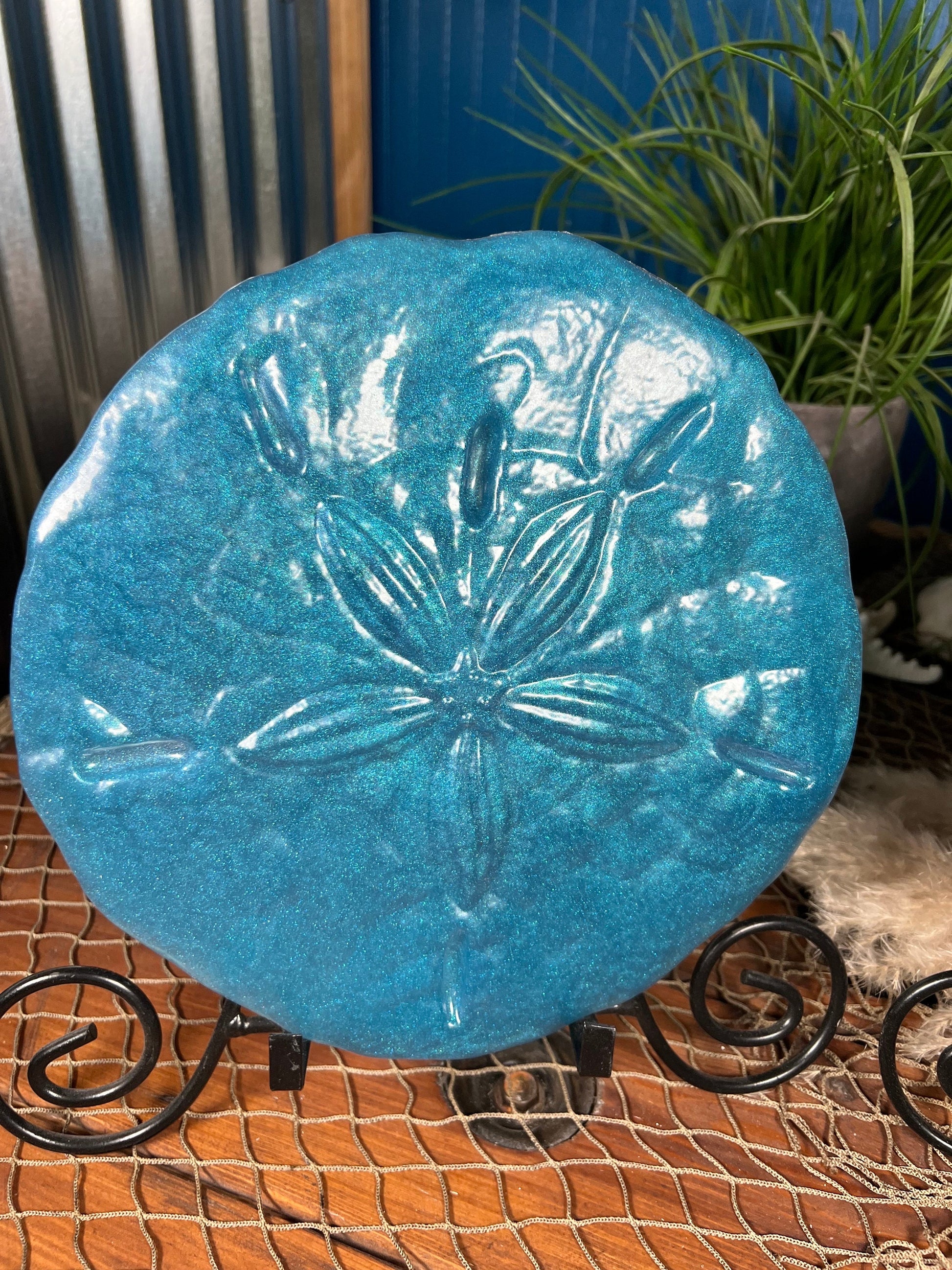 Sand Dollar Wall Art