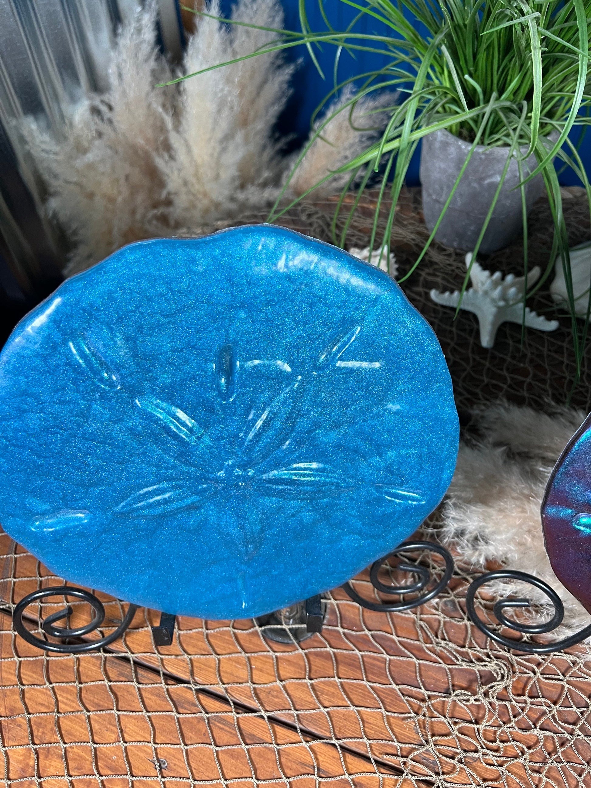 Sand Dollar Wall Art