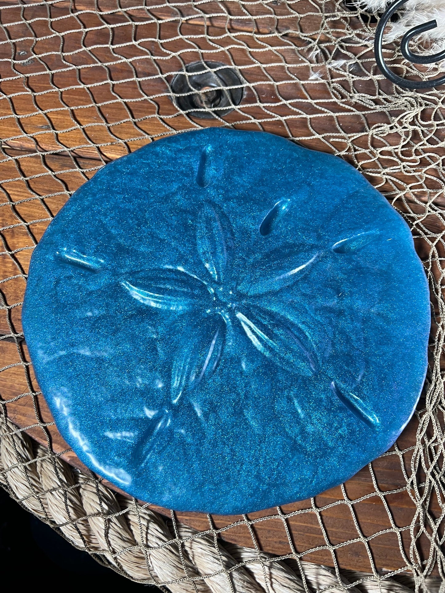 Sand Dollar Wall Art