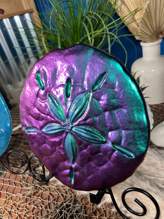Sand Dollar Wall Art