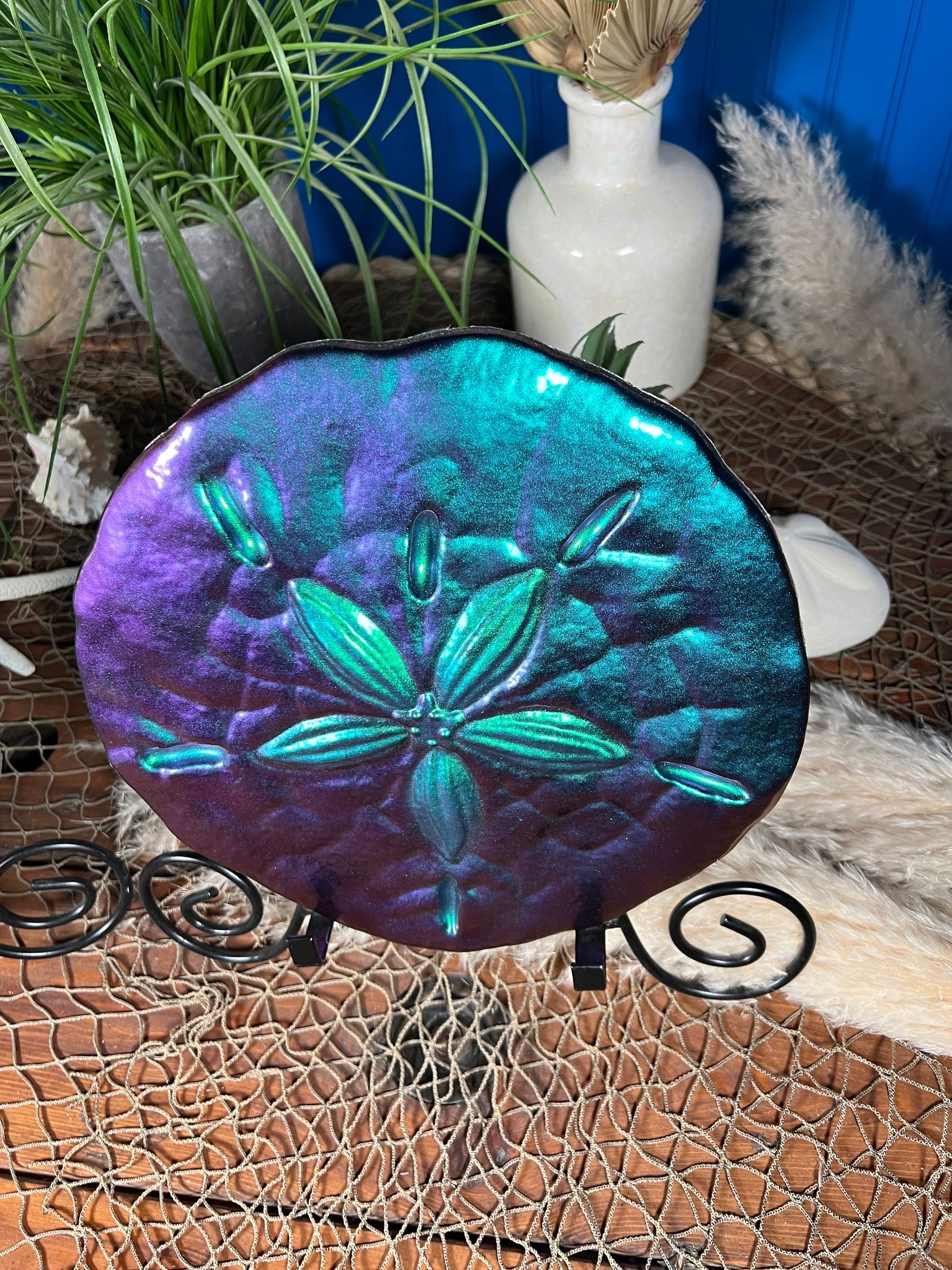 Sand Dollar Wall Art