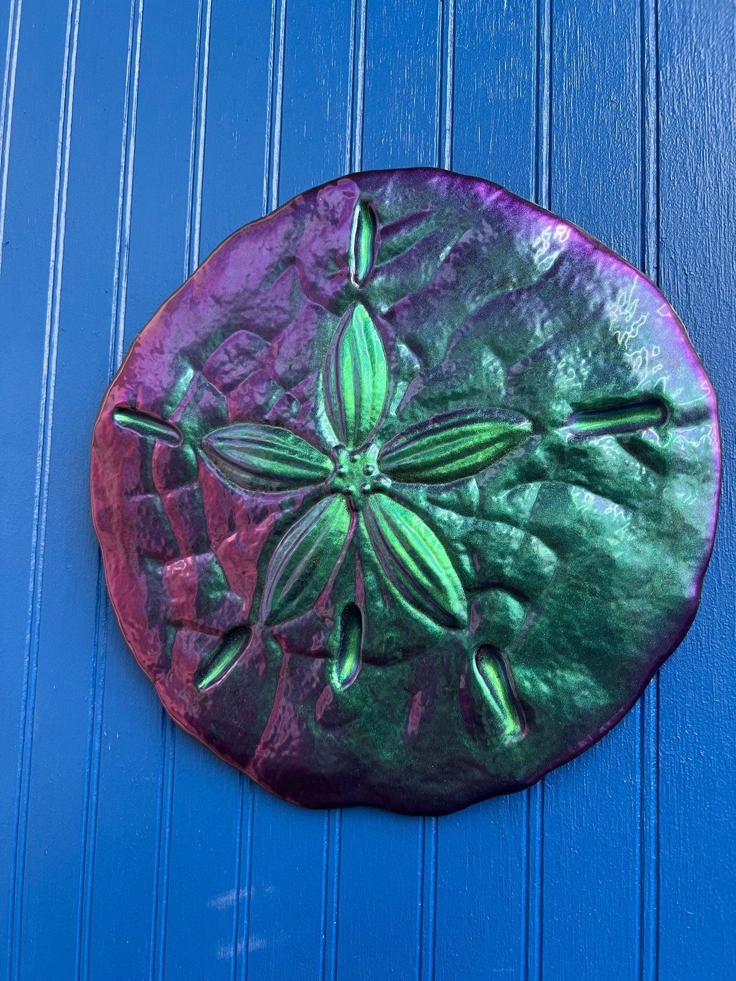 Sand Dollar Wall Art