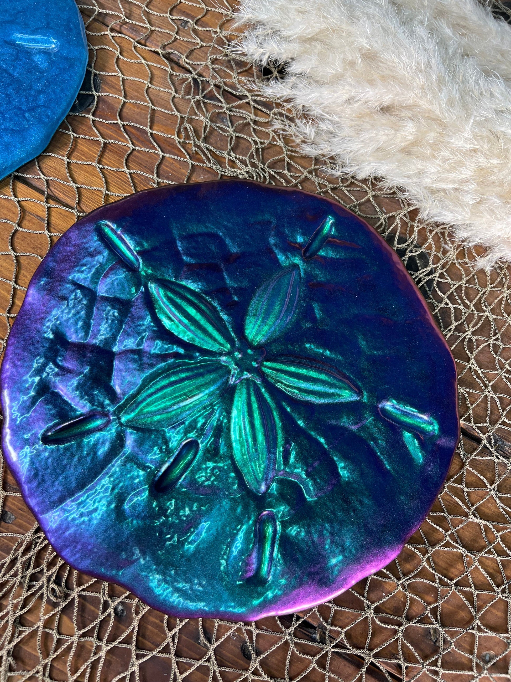 Sand Dollar Wall Art