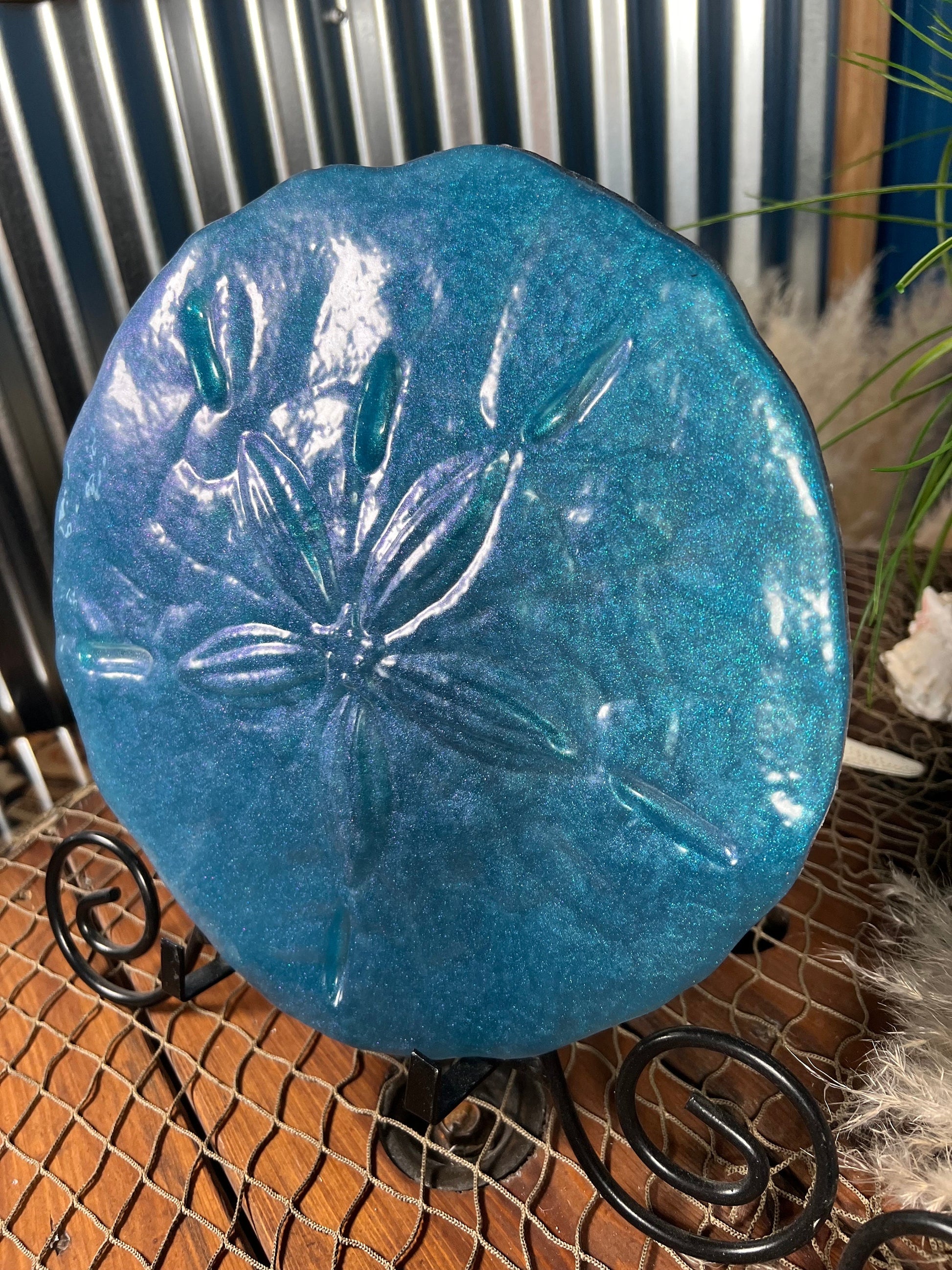 Sand Dollar Wall Art