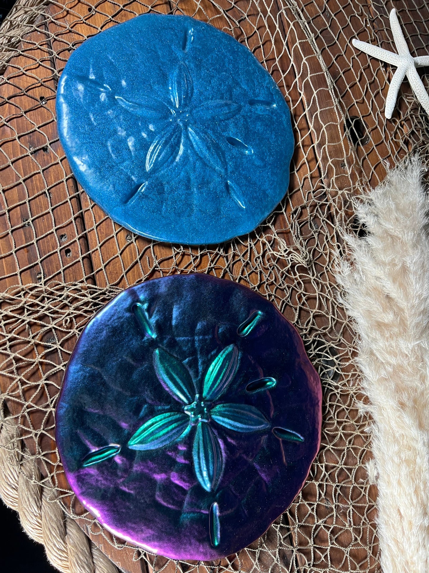 Sand Dollar Wall Art
