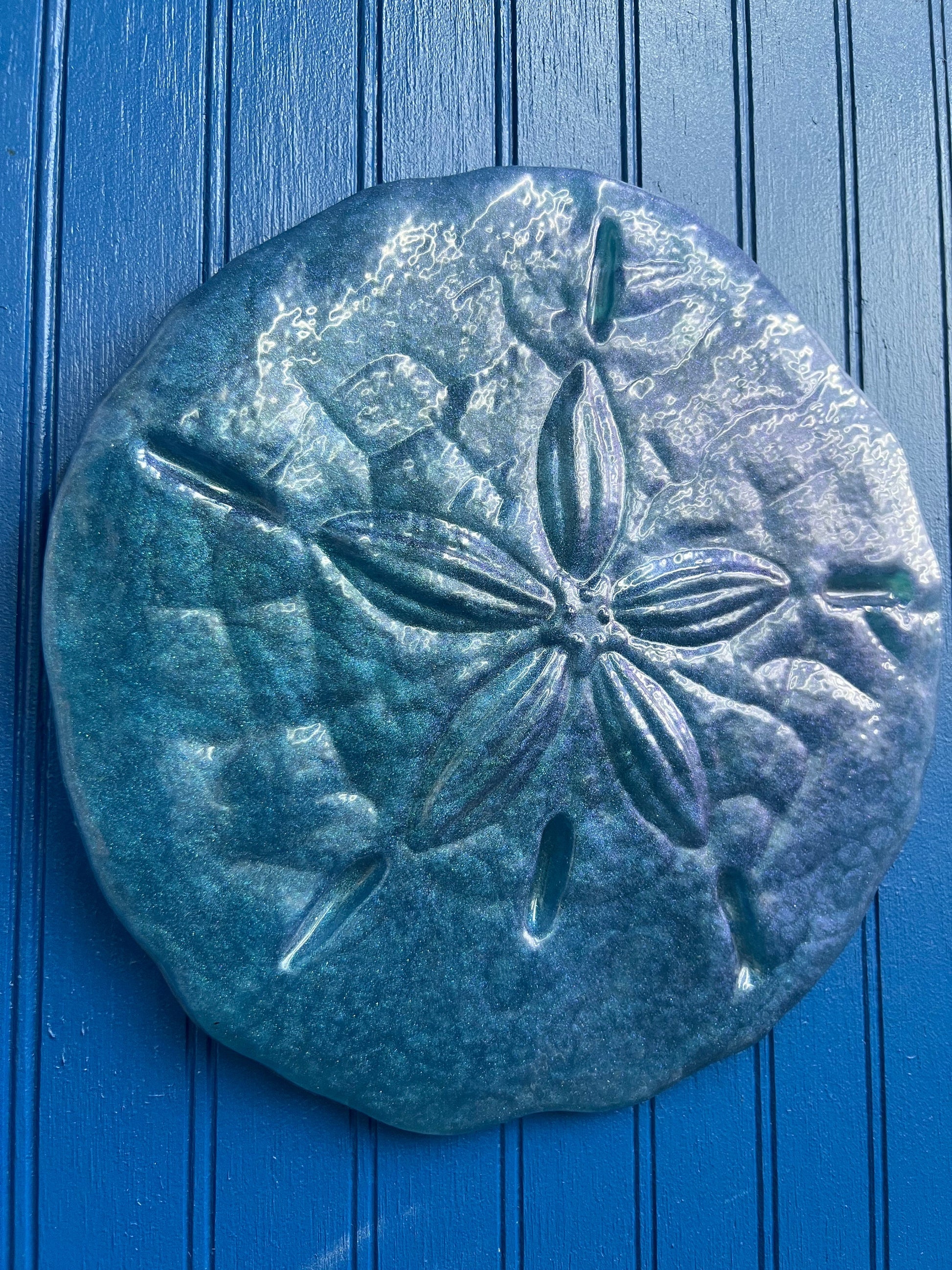 Sand Dollar Wall Art