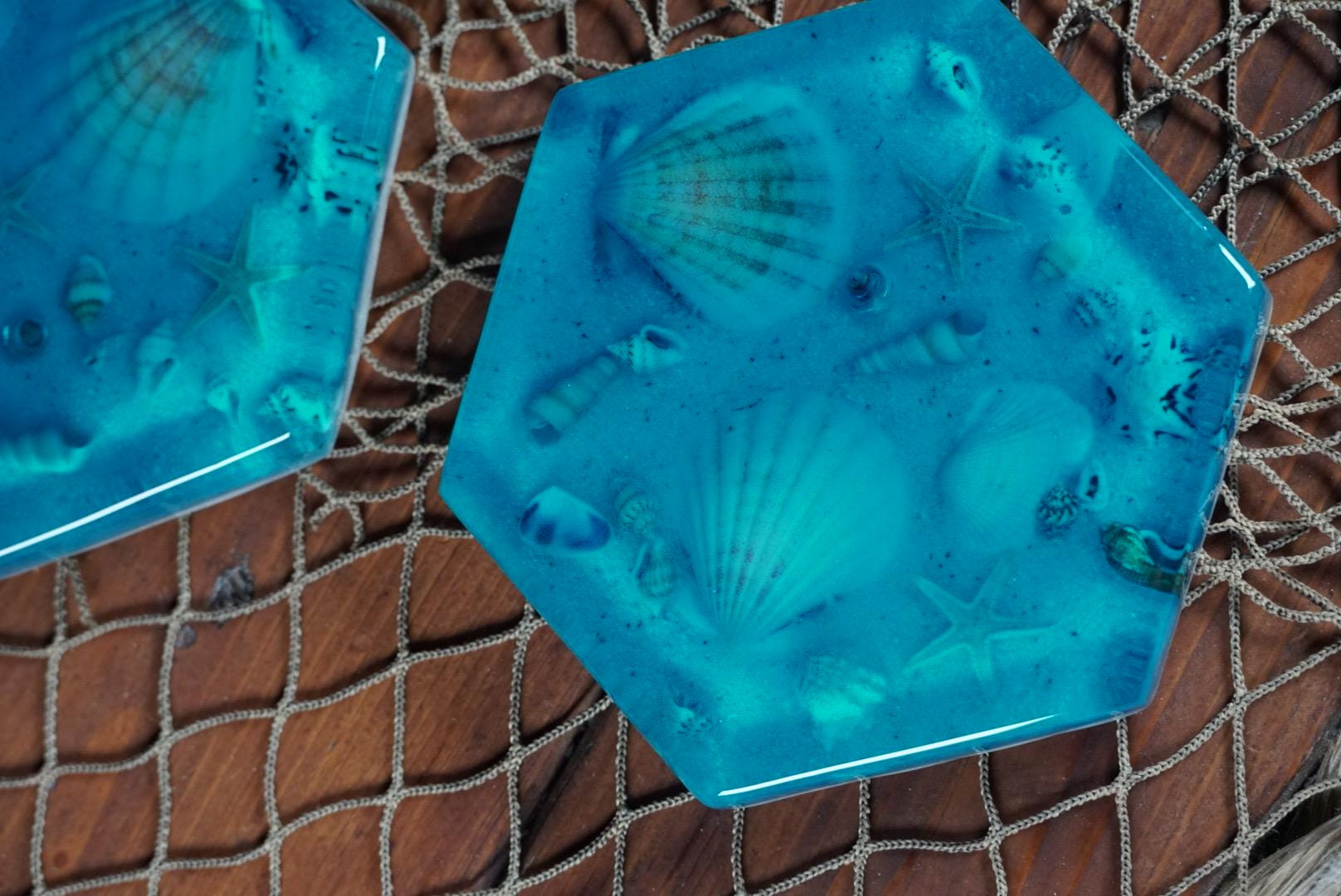 Sea Shell Coasters