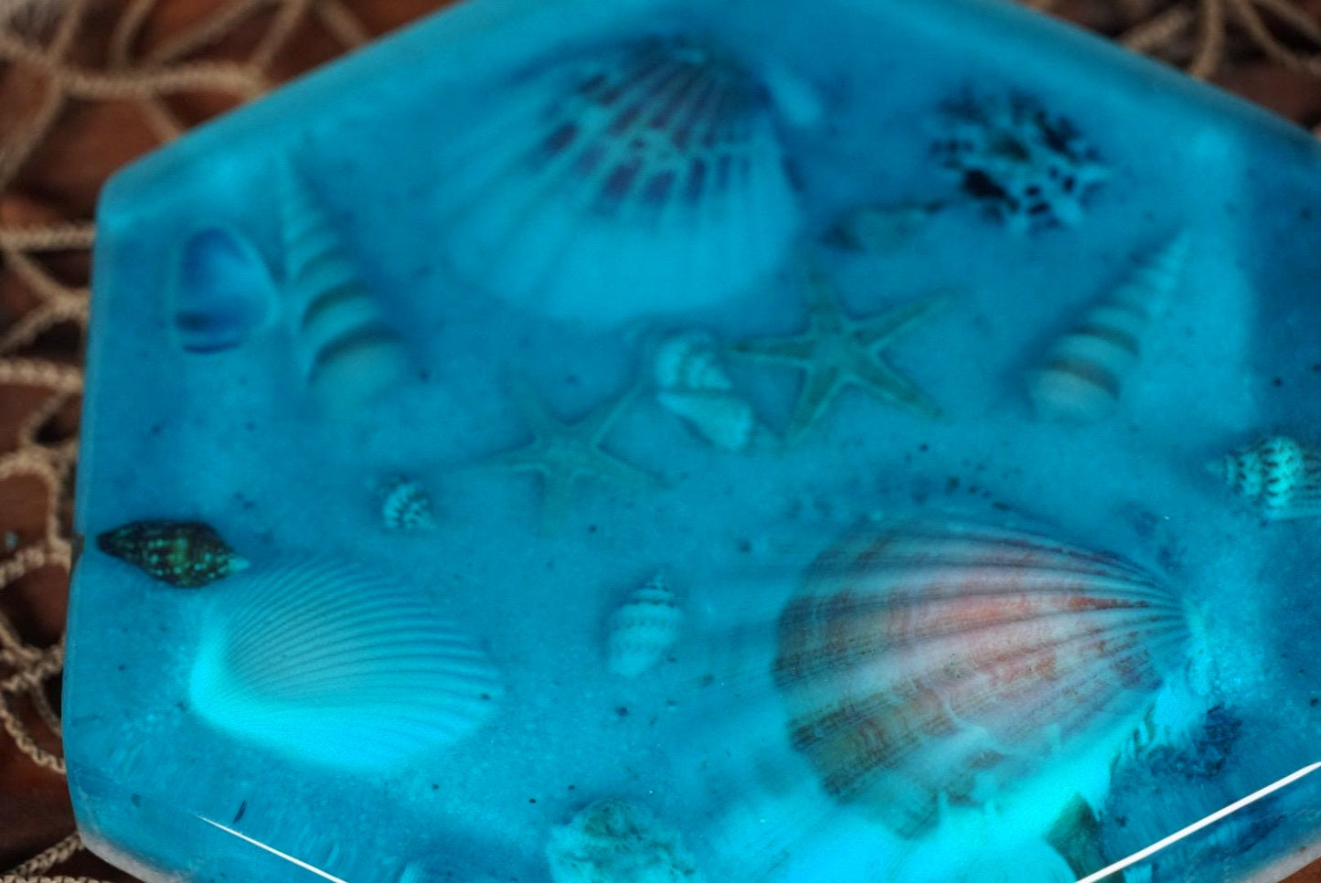 Sea Shell Coasters