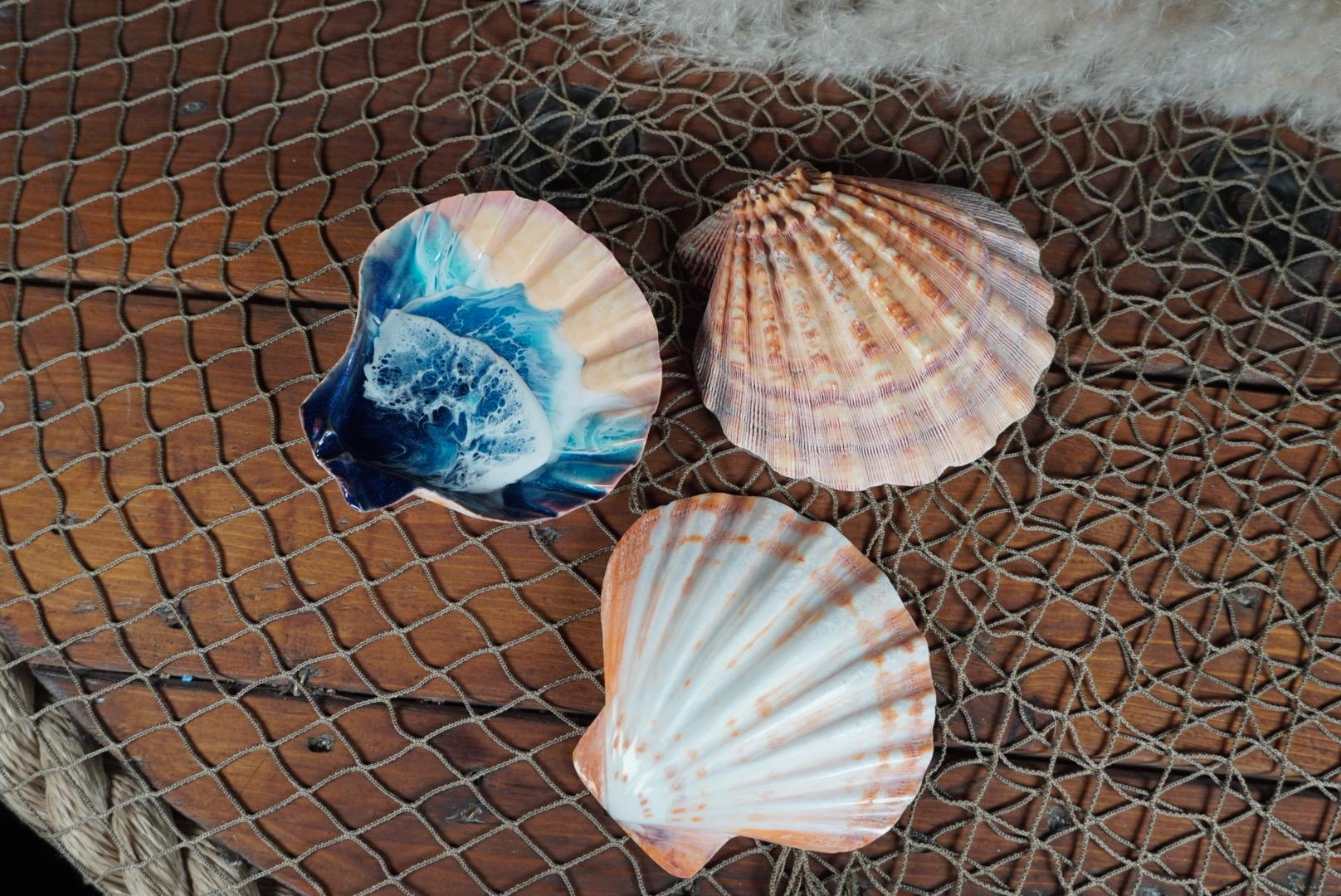 Sea Shell with Waves
