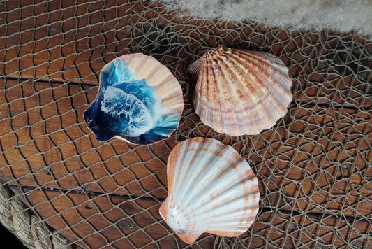 Sea Shell with Waves