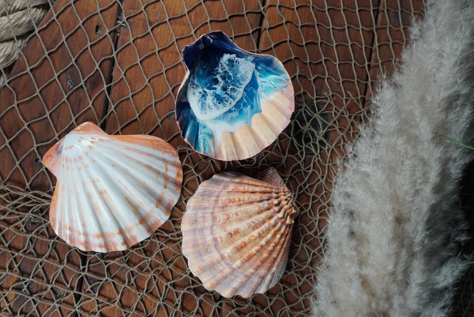 Sea Shell with Waves