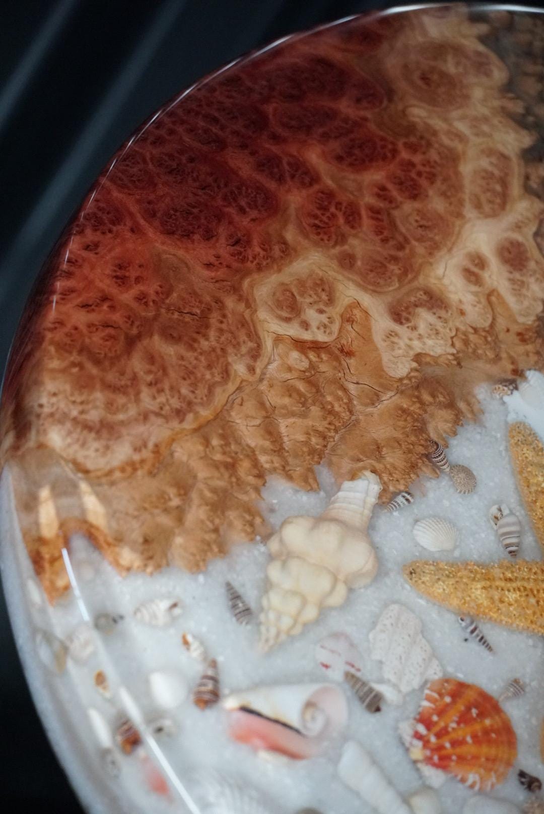 SEA SCAPE MALLEE Epoxy Resin Round Table with Mallee Burl, Ocean Waves, Sand & Shells | Side Table | End Table | Accent Table