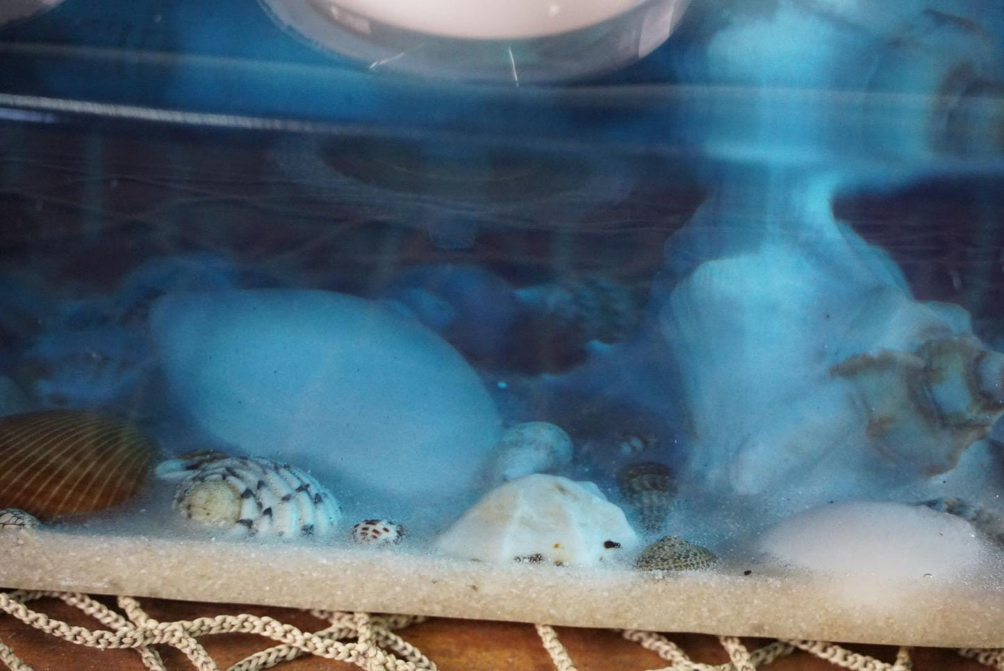 Sea Shell Tea light Candle Holder