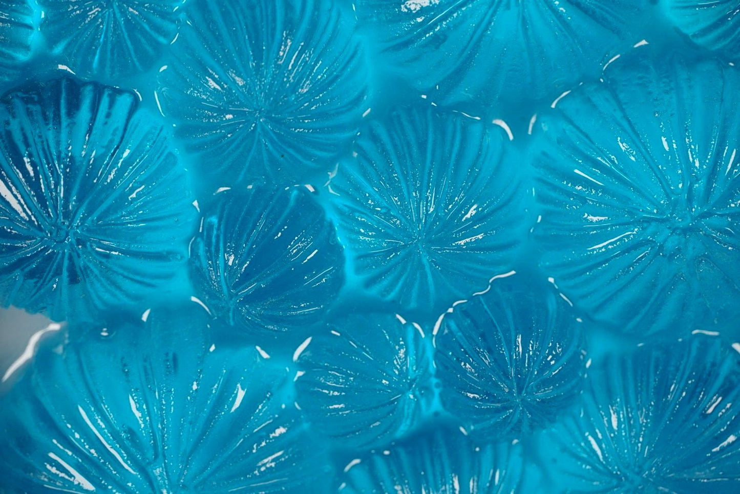 Ocean Wall Art Sea Urchin Sculpture | Ocean Decor