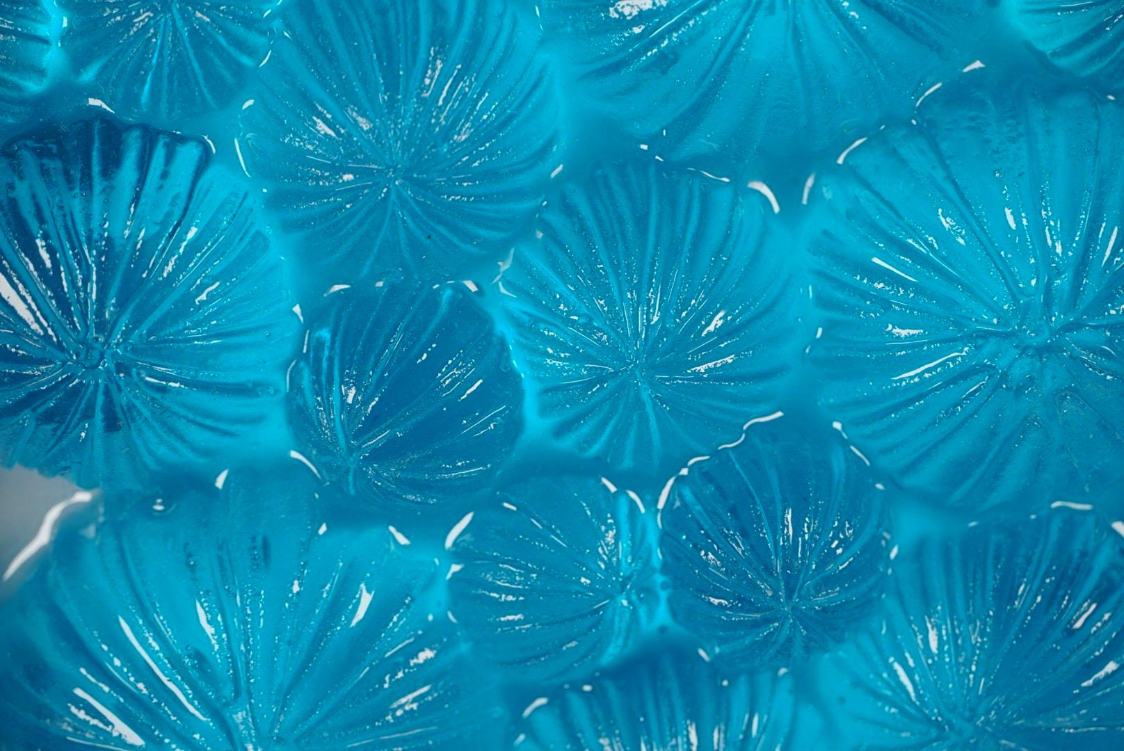 Ocean Wall Art Sea Urchin Sculpture | Ocean Decor