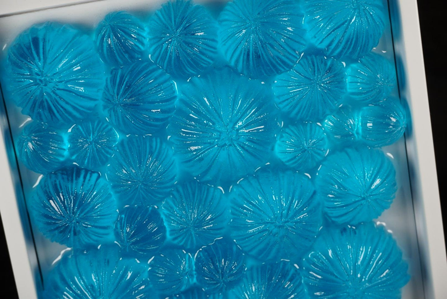 Ocean Wall Art Sea Urchin Sculpture | Ocean Decor