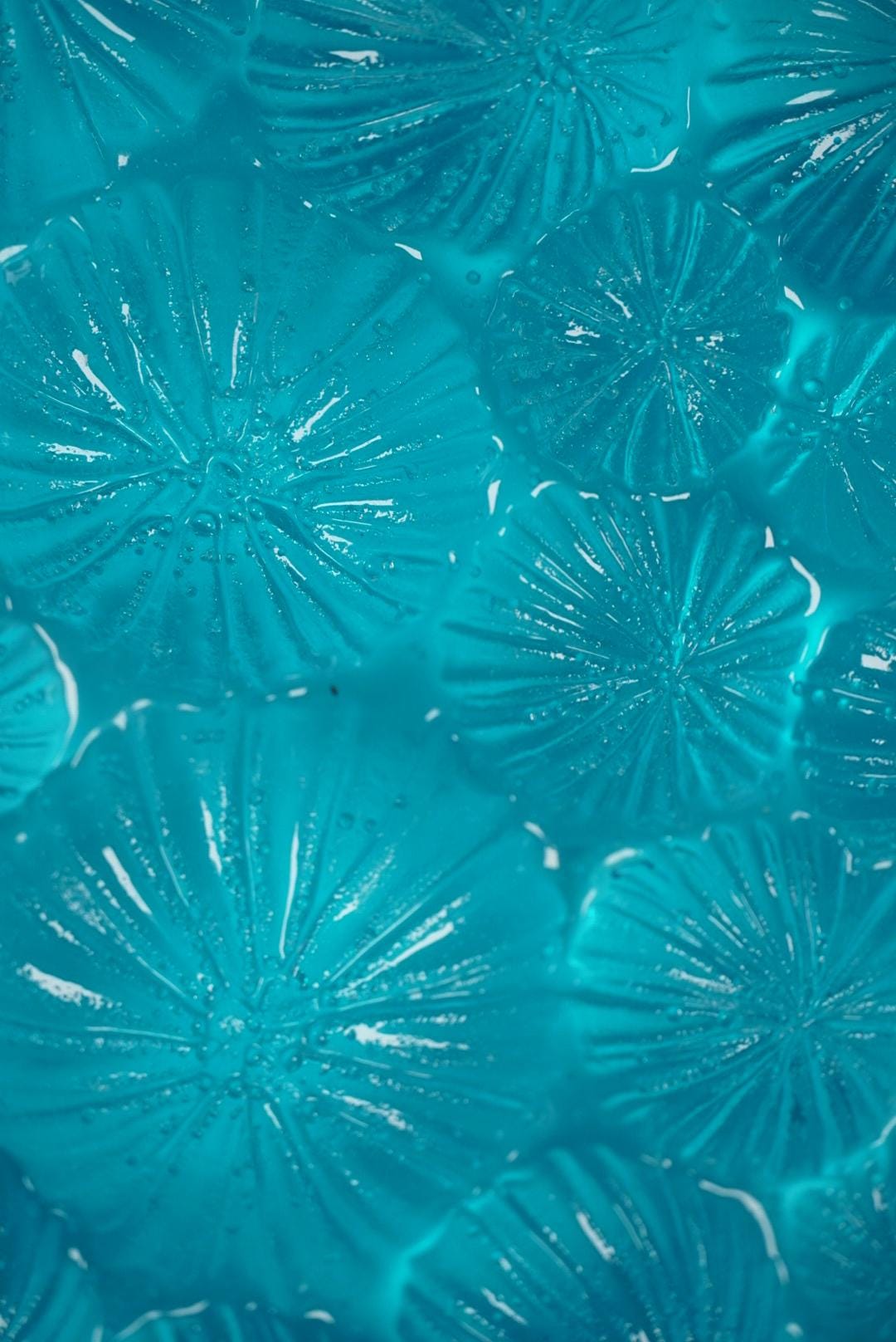 Ocean Wall Art Sea Urchin Sculpture | Ocean Decor