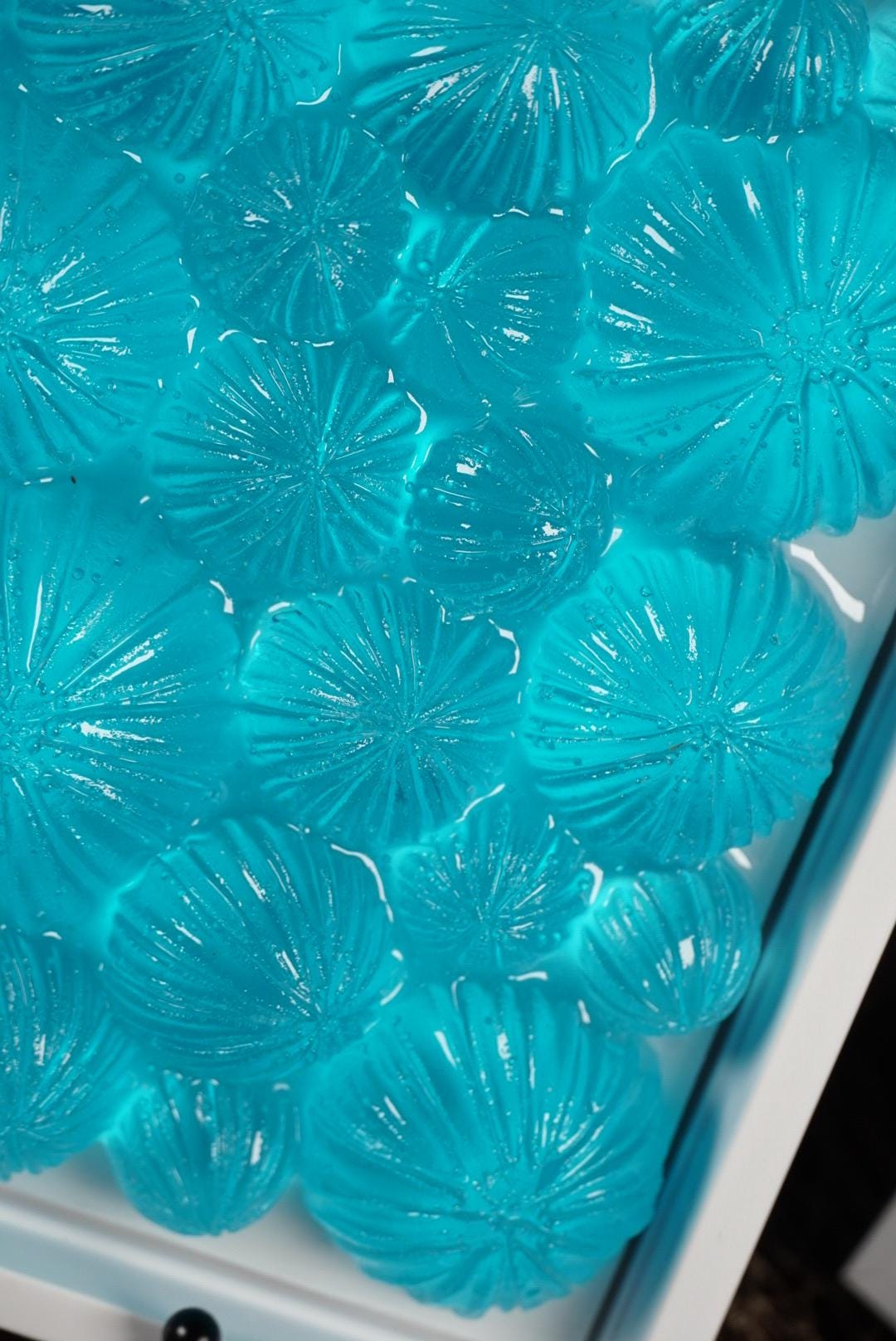 Ocean Wall Art Sea Urchin Sculpture | Ocean Decor