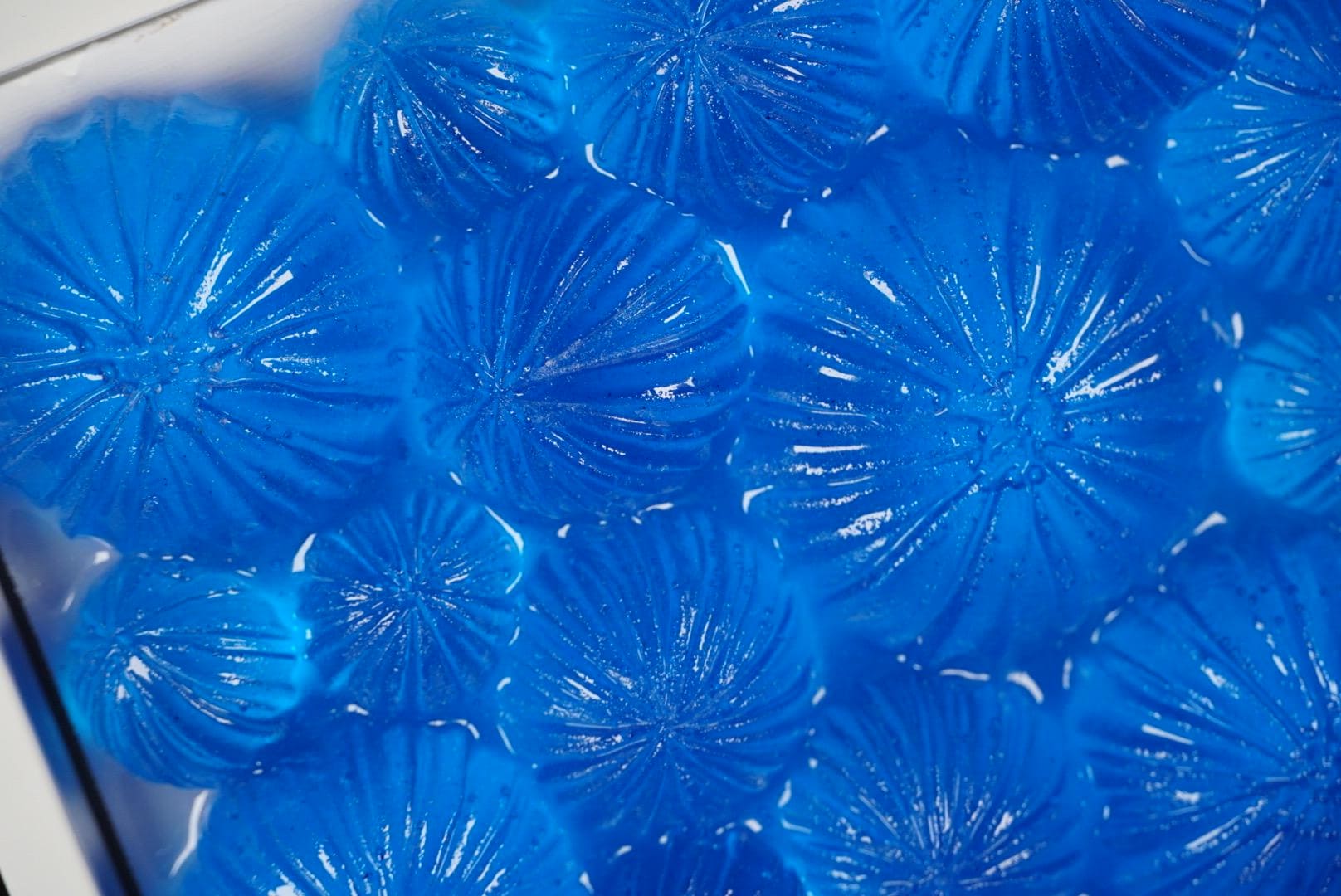 Ocean Wall Art Sea Urchin Sculpture | Ocean Decor