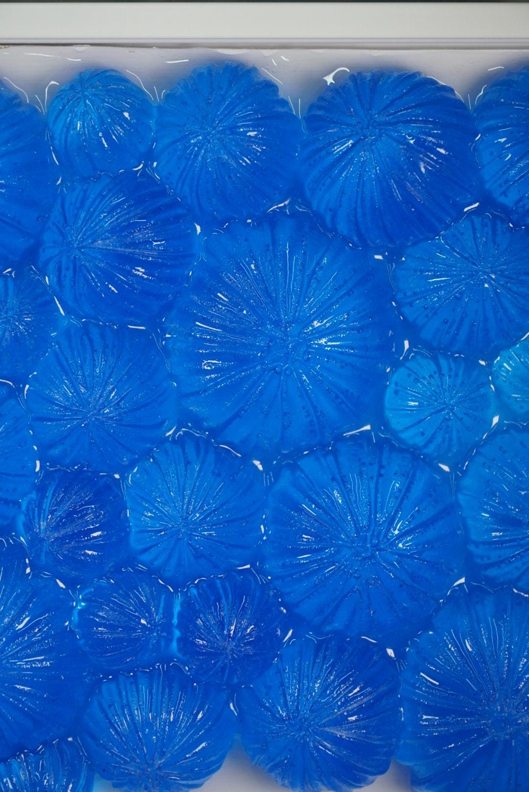 Ocean Wall Art Sea Urchin Sculpture | Ocean Decor