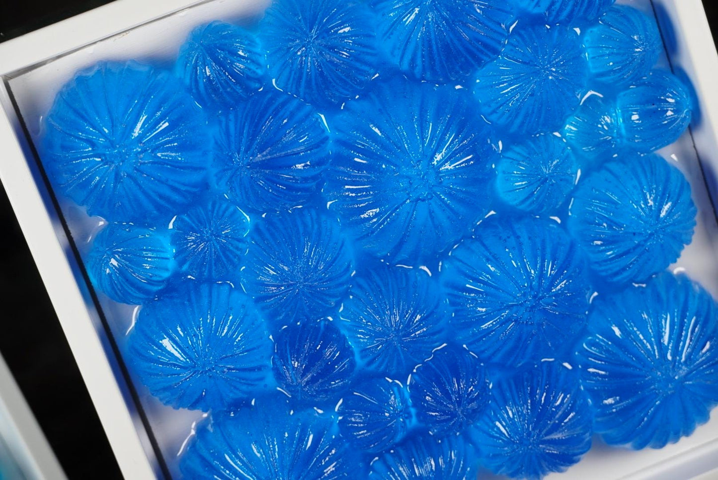 Ocean Wall Art Sea Urchin Sculpture | Ocean Decor