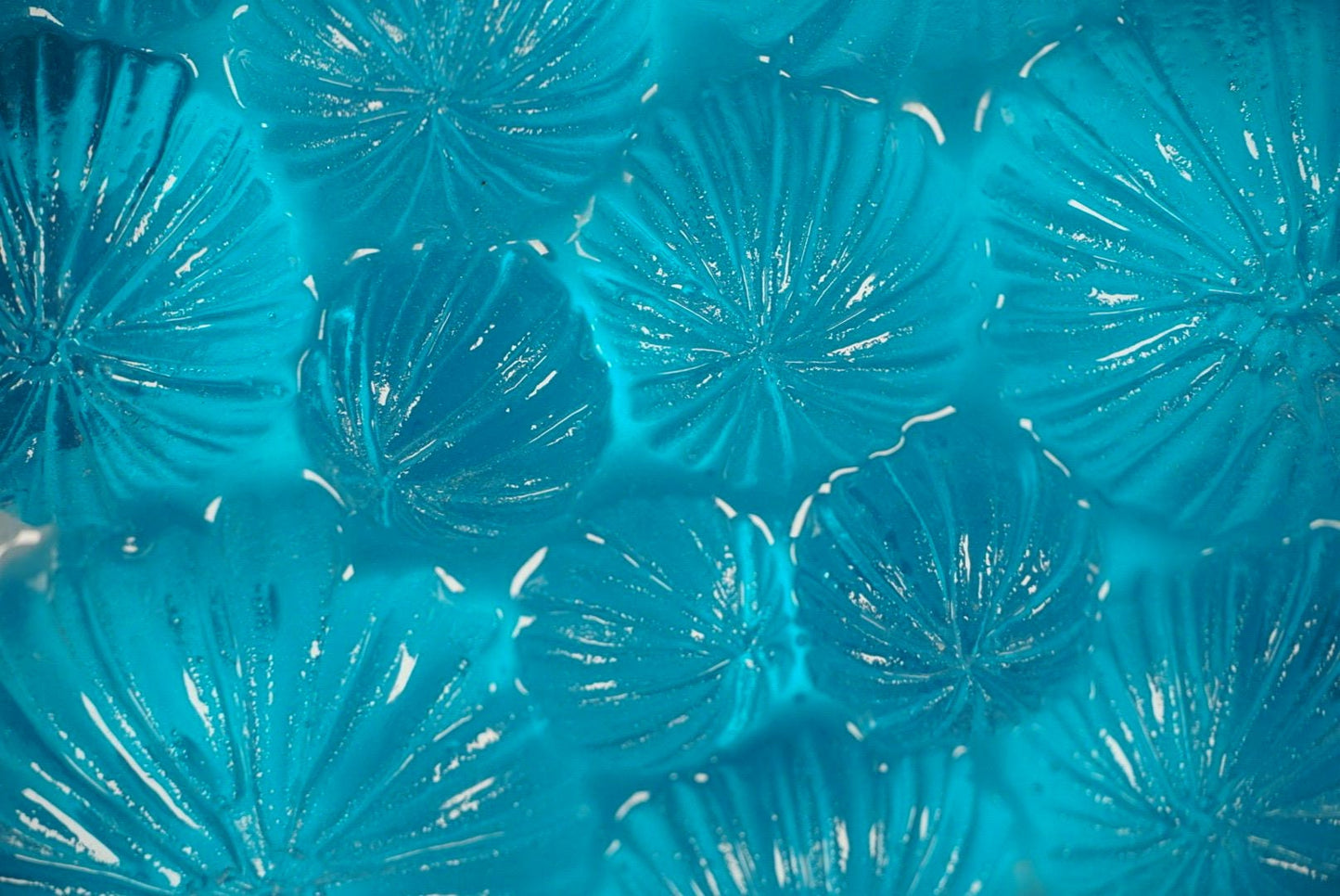 Ocean Wall Art Sea Urchin Sculpture | Ocean Decor