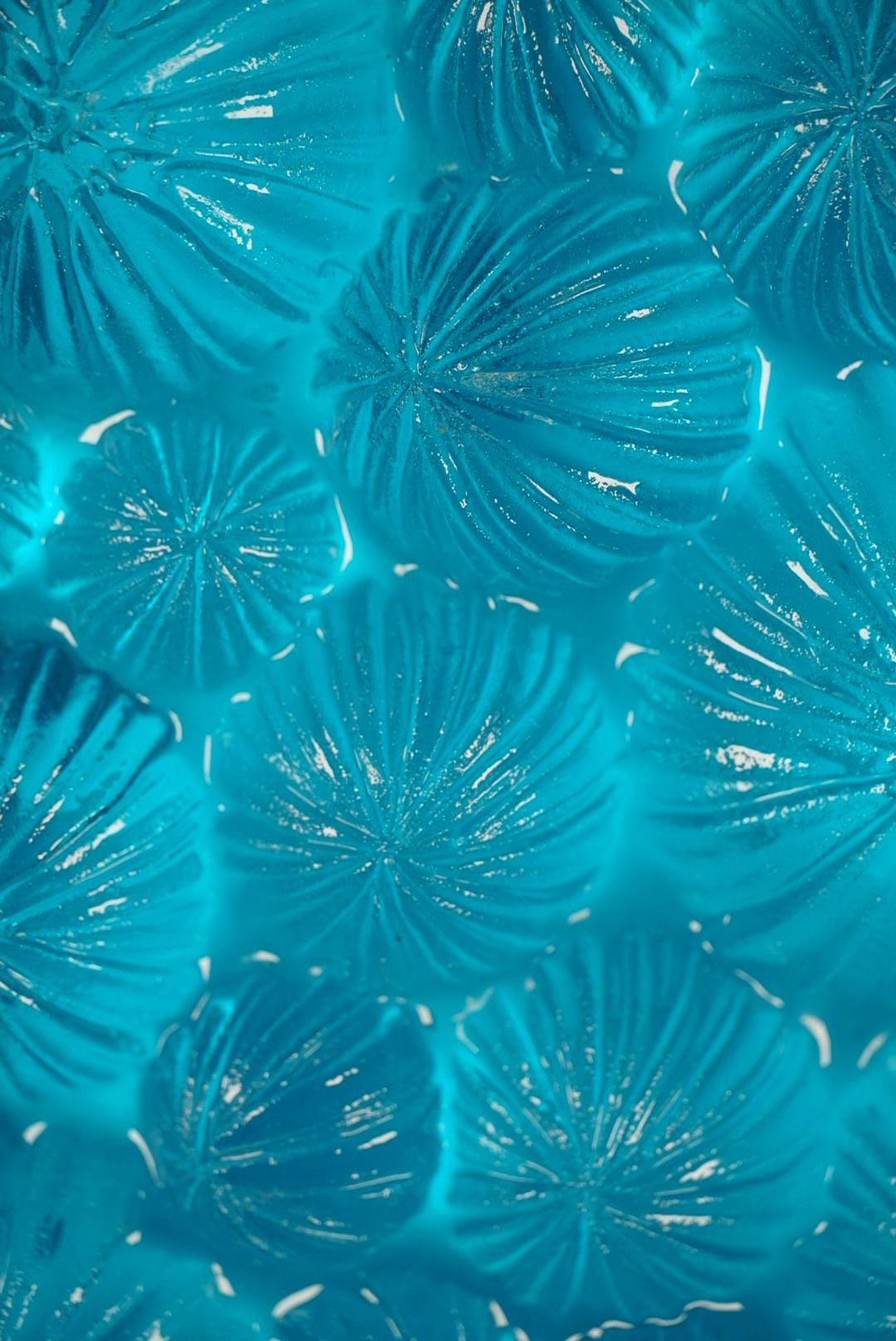 Ocean Wall Art Sea Urchin Sculpture | Ocean Decor