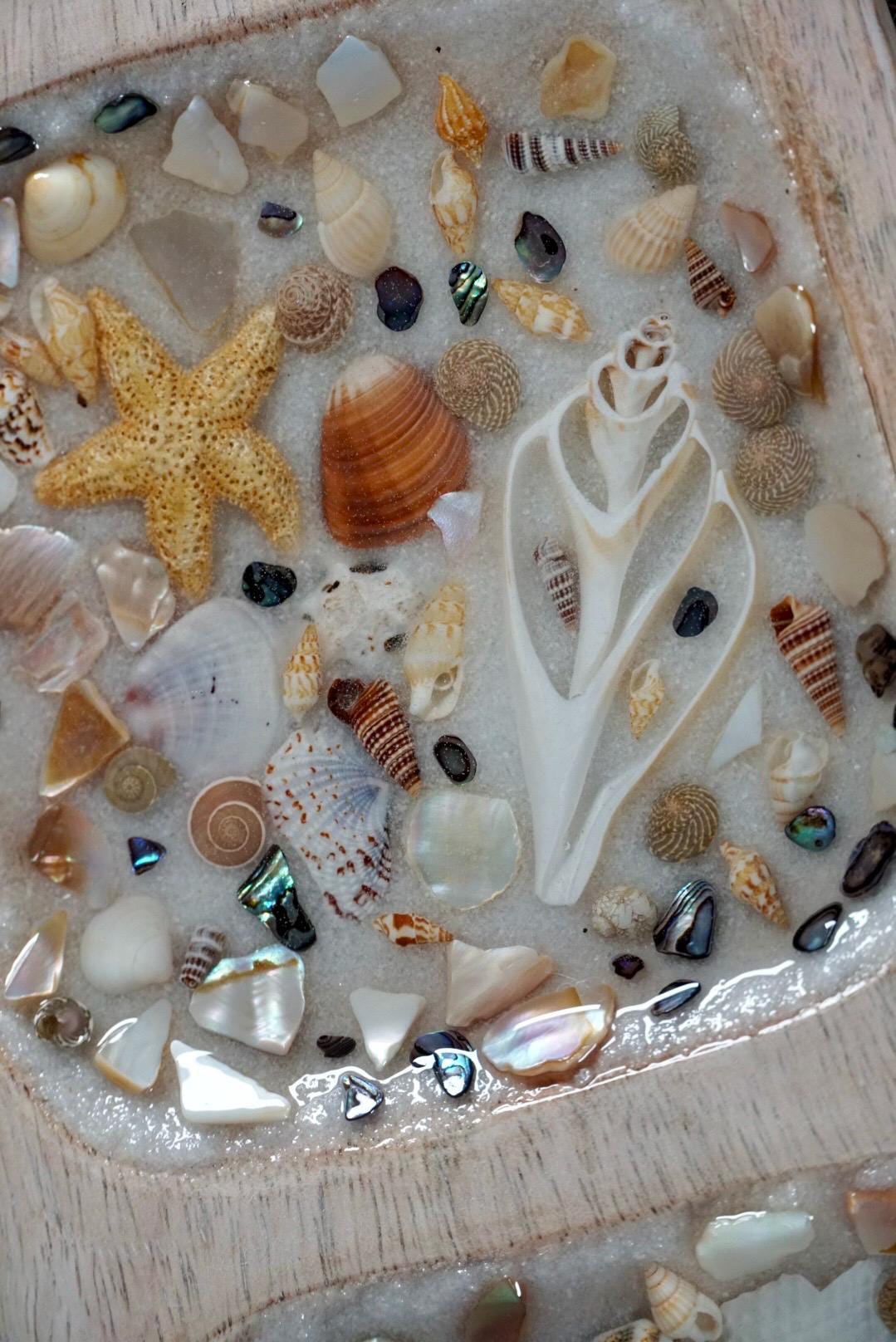Sea Shell Mango Wood Tray Set