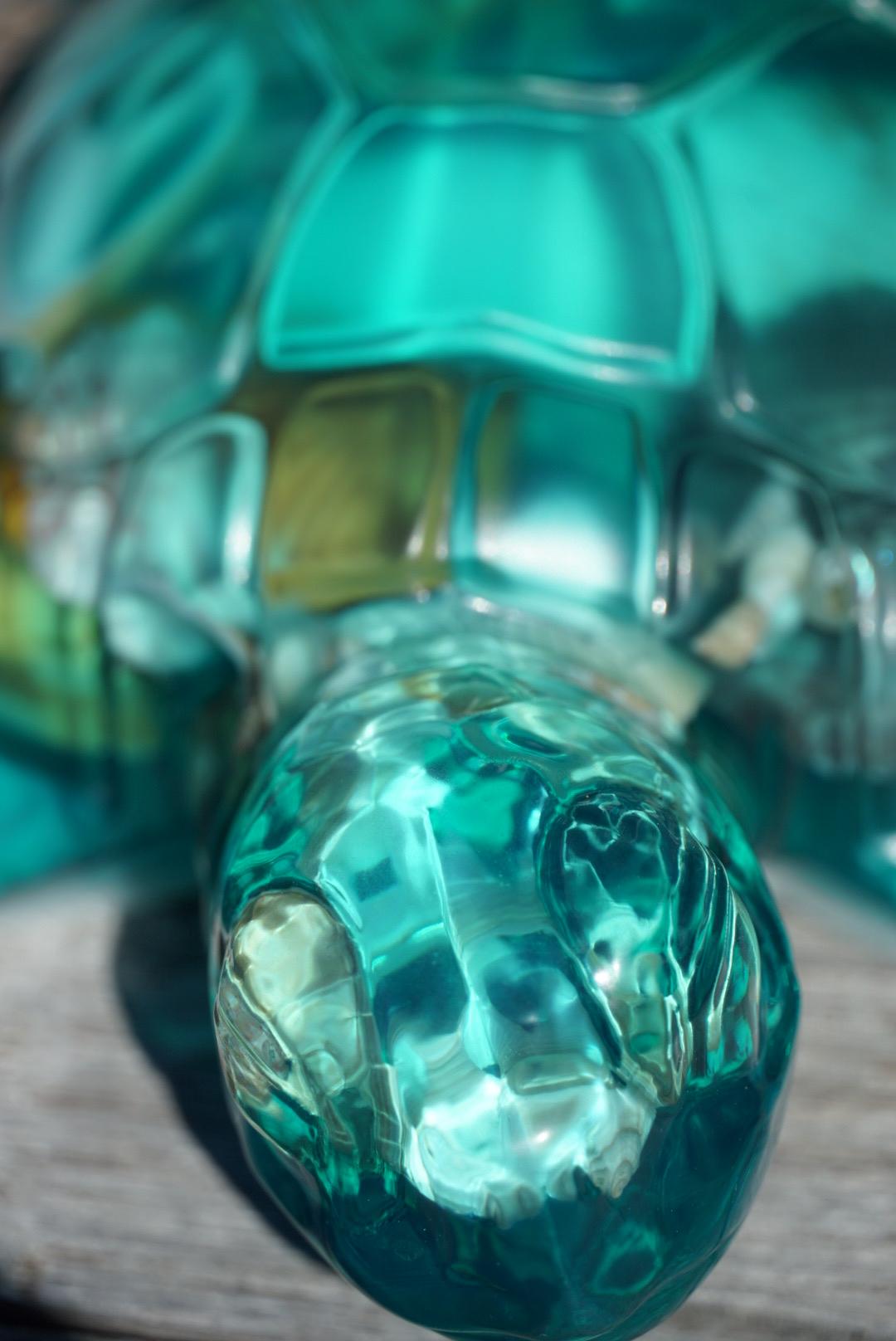 Turquoise Sea Shell Turtle | Ocean Decor | Epoxy Resin