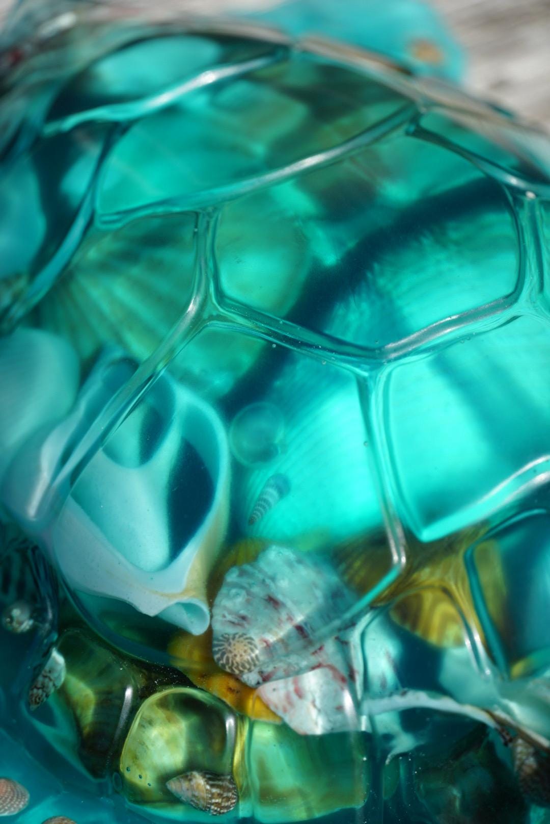 Turquoise Sea Shell Turtle | Ocean Decor | Epoxy Resin