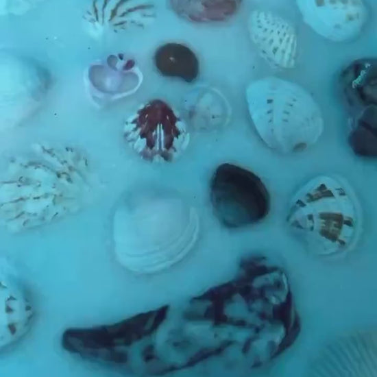 SEA SPIRAL Epoxy Resin Table | Side Table | End Table | Accent Table