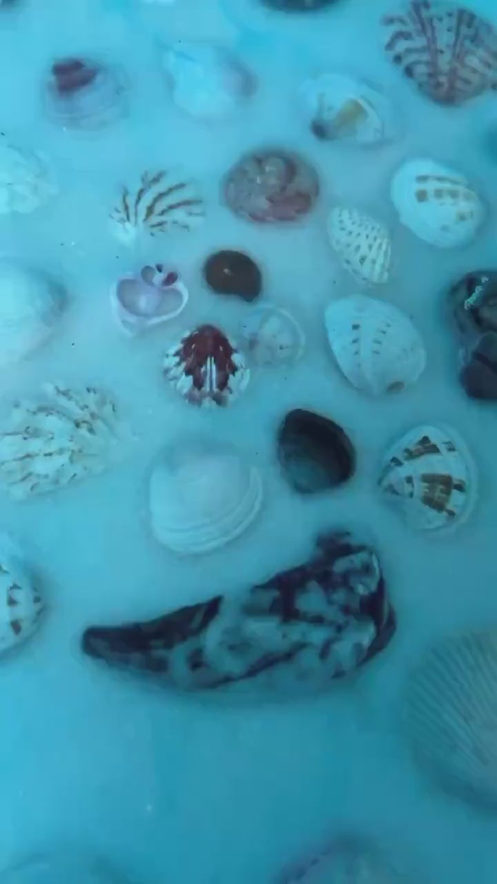 SEA SPIRAL Epoxy Resin Table | Side Table | End Table | Accent Table