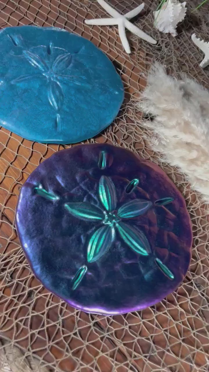 Sand Dollar Wall Art