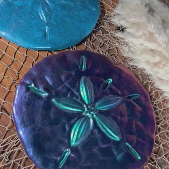 Sand Dollar Wall Art